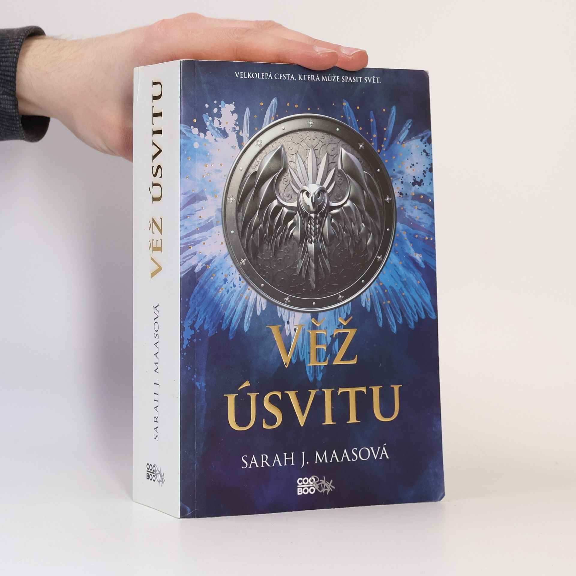 Sarah J. Maasová Věž úsvitu