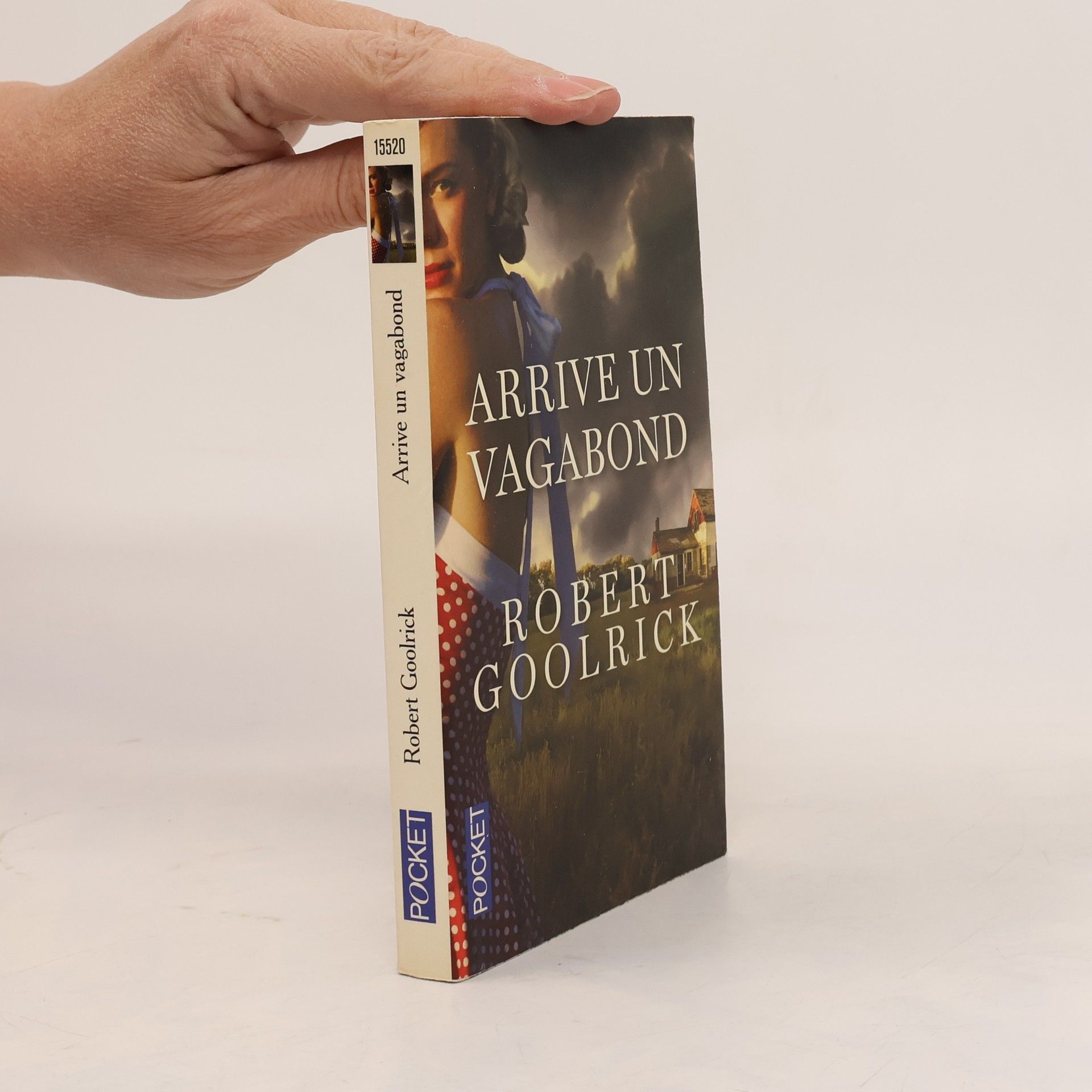 Robert Goolrick Arrive un vagabond