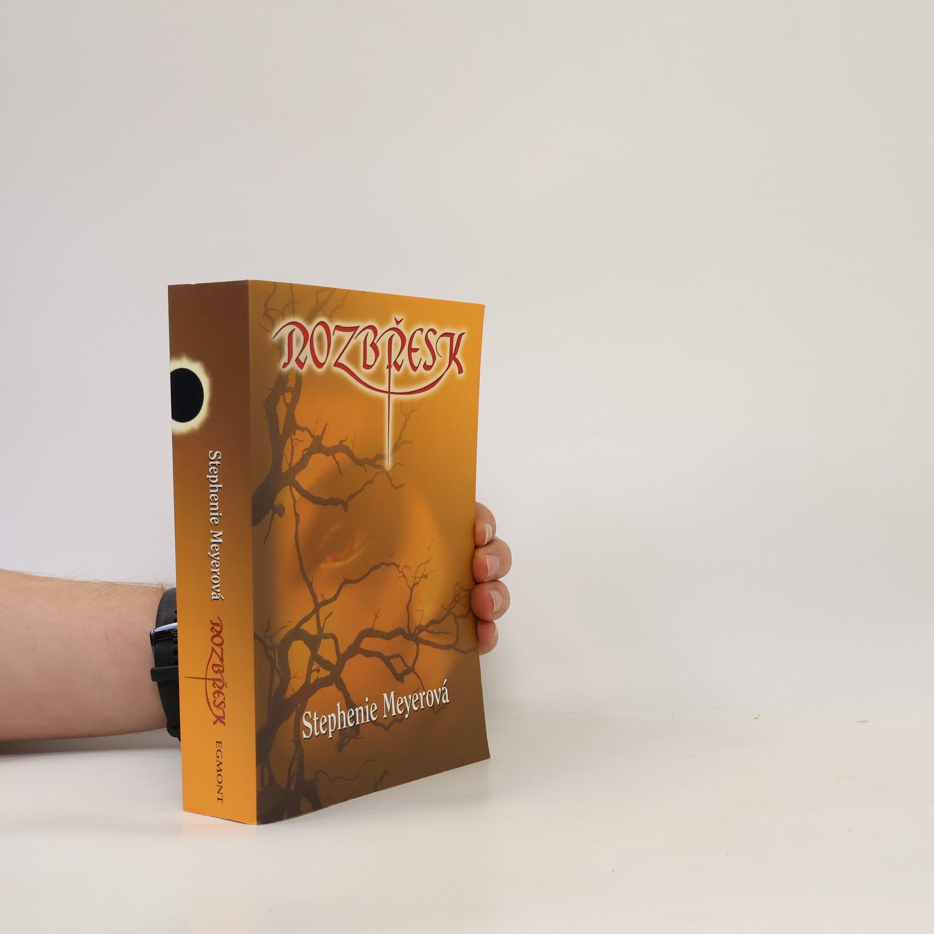 Stephenie Meyer Rozbřesk