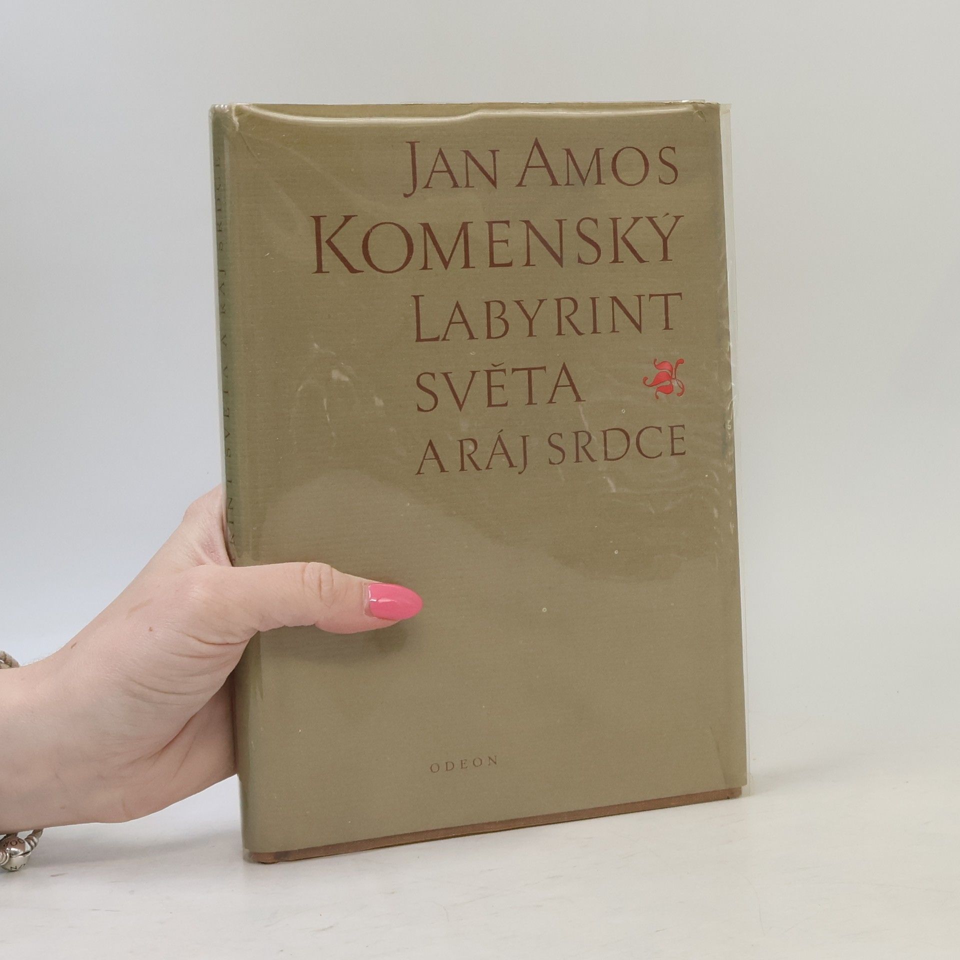 Labyrint světa a ráj srdce