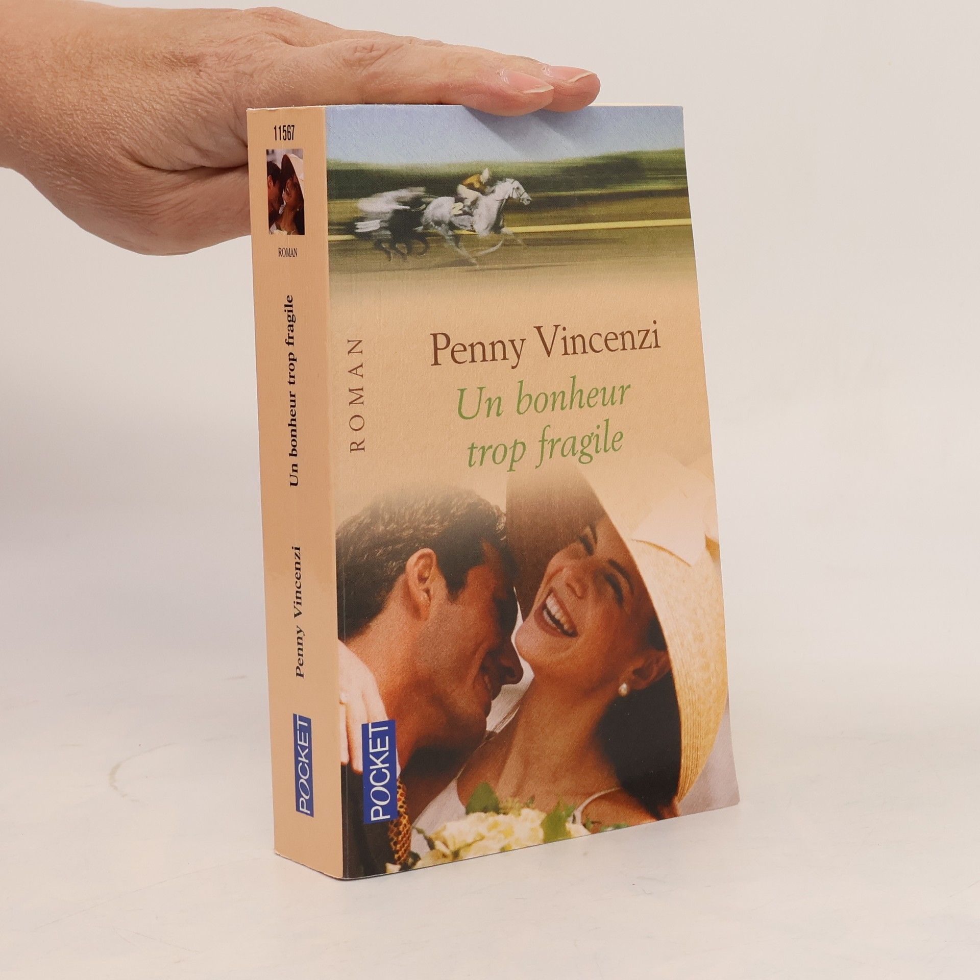 Penny Vincenzi Un bonheur trop fragile