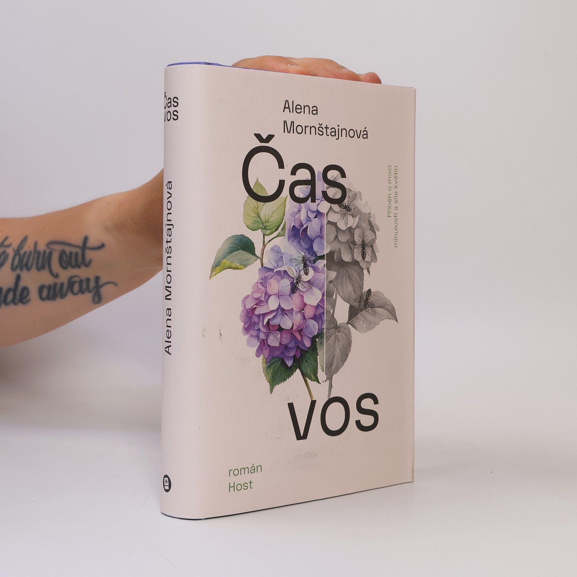 Alena Mornštajnová Čas vos