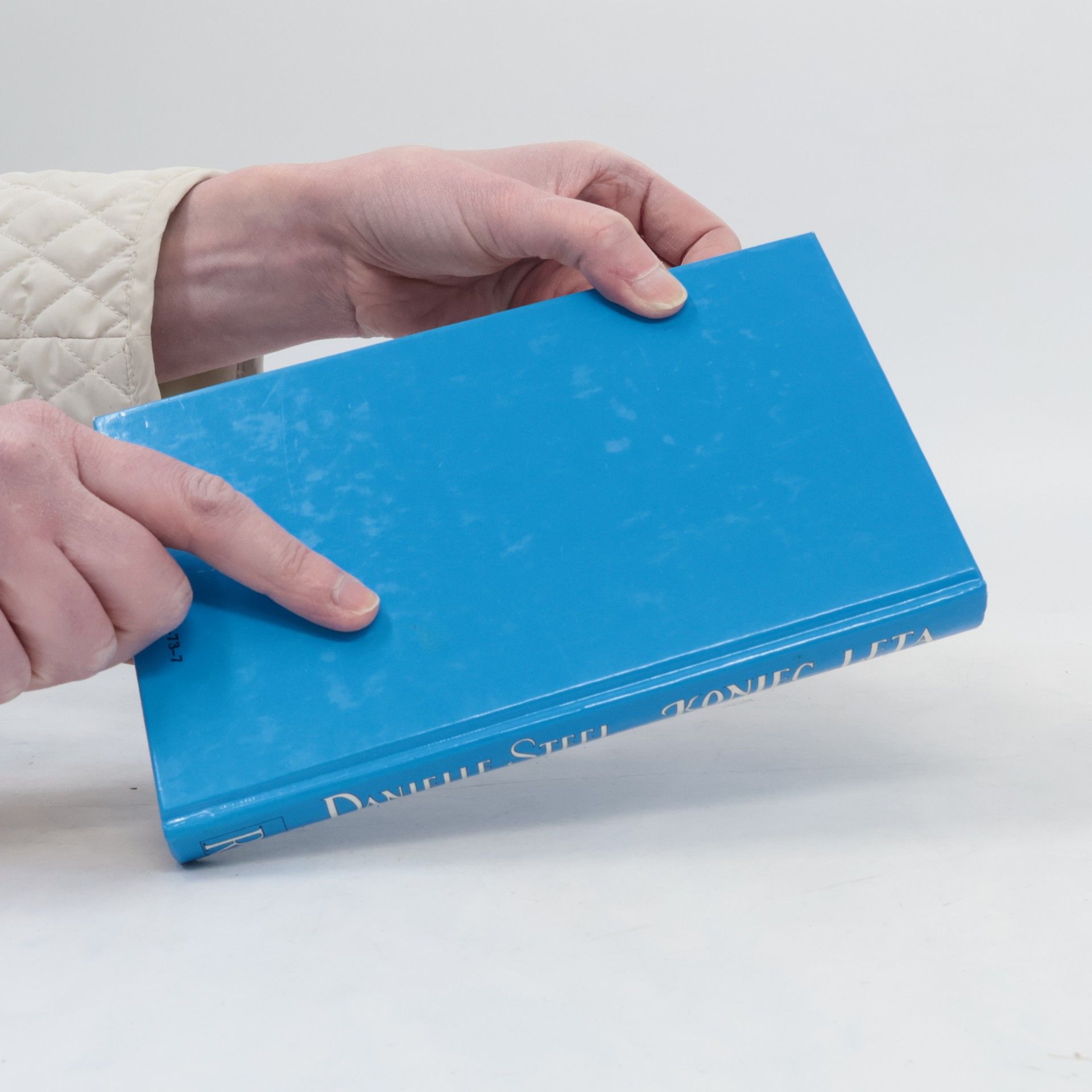 Danielle Steel Koniec leta