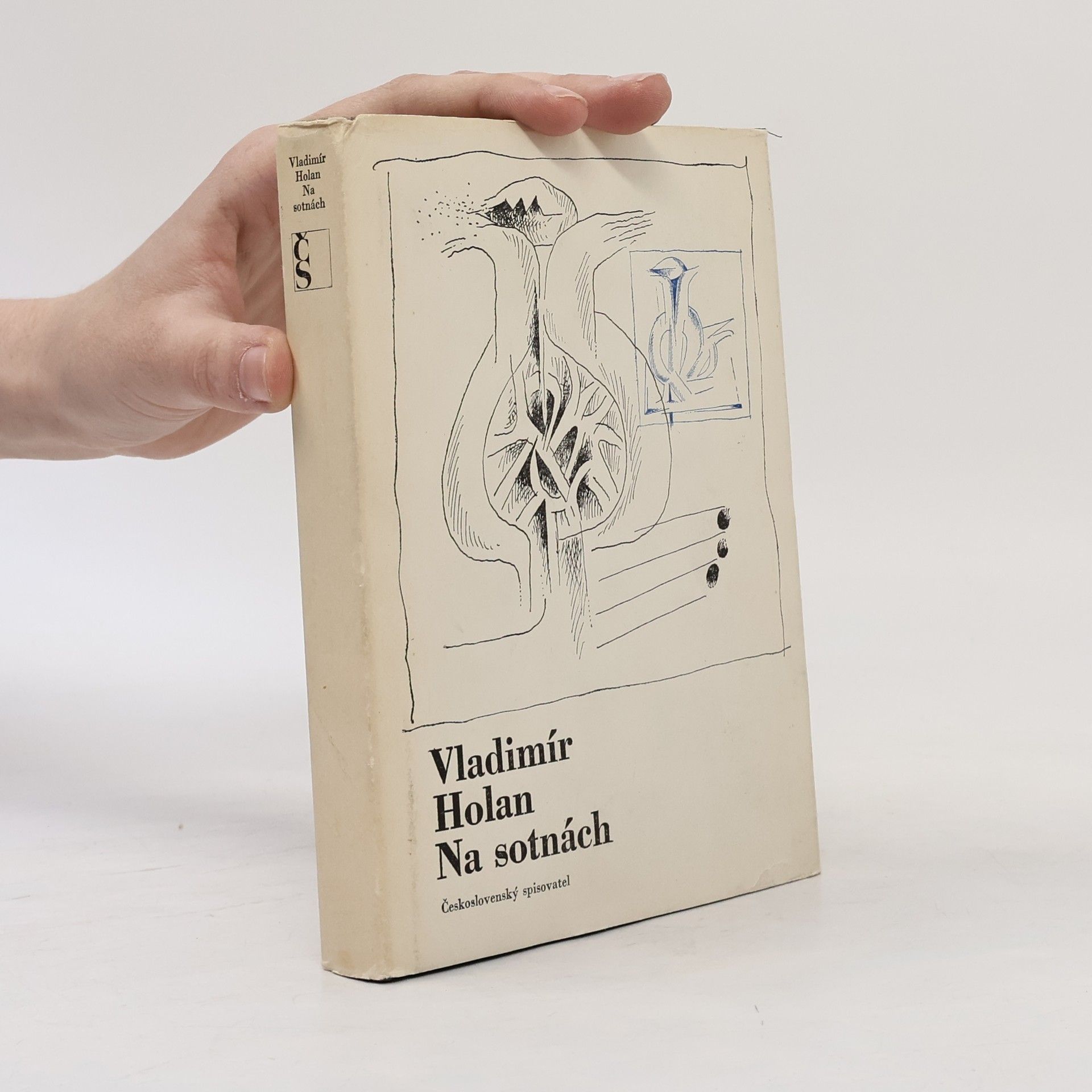 Vladimír Holan Na sotnách
