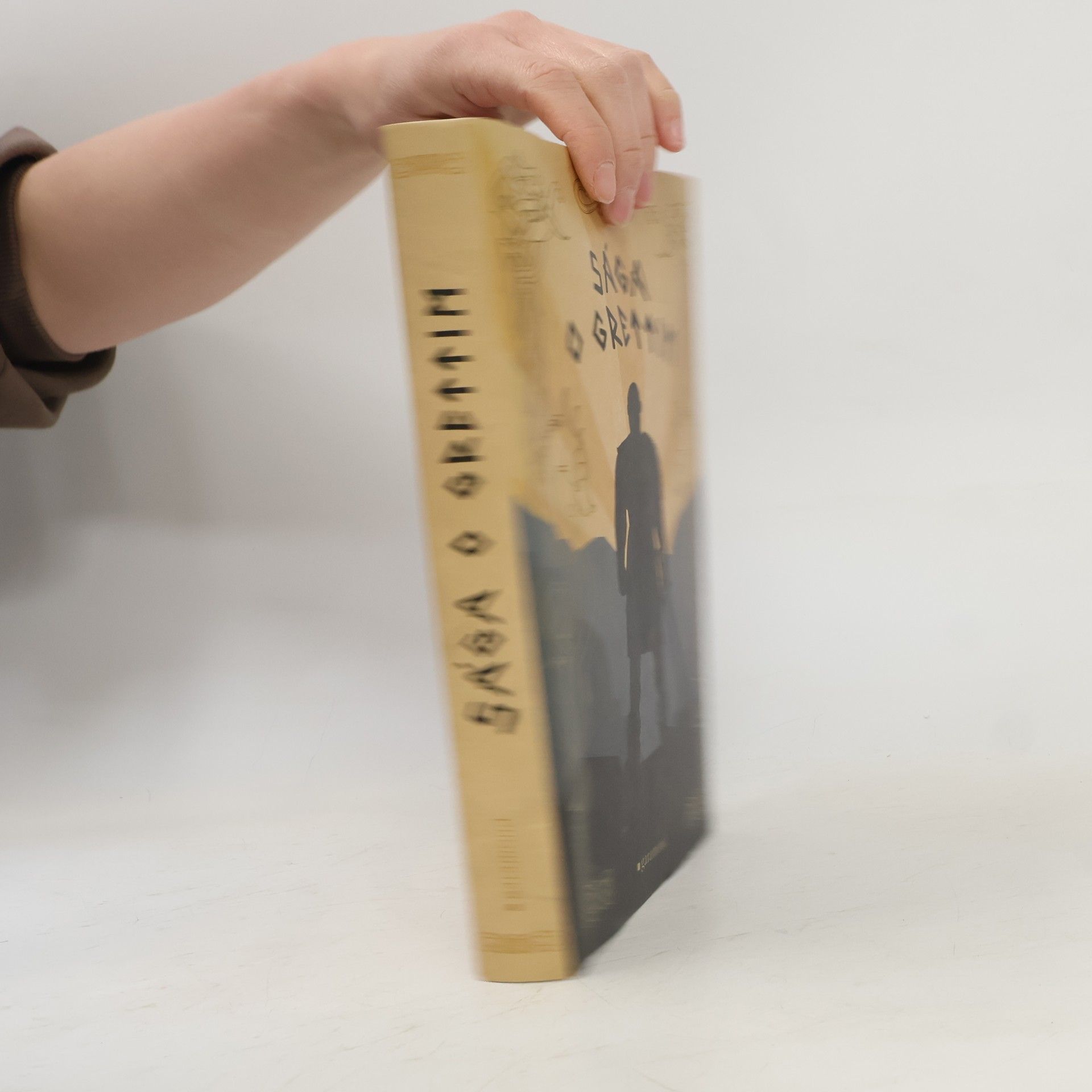 Kolektiv autorů Sága o Grettim