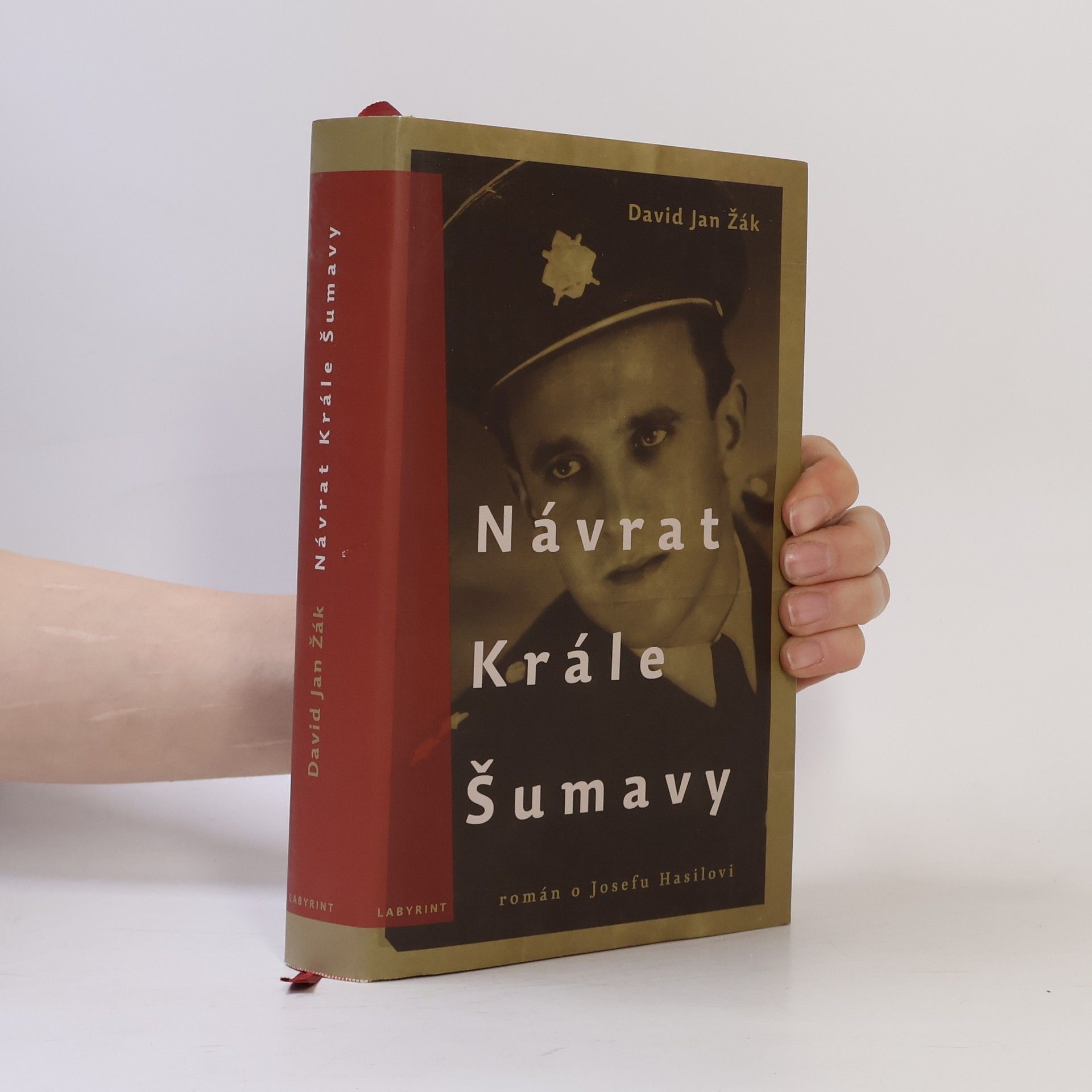 David Jan Žák Návrat Krále Šumavy