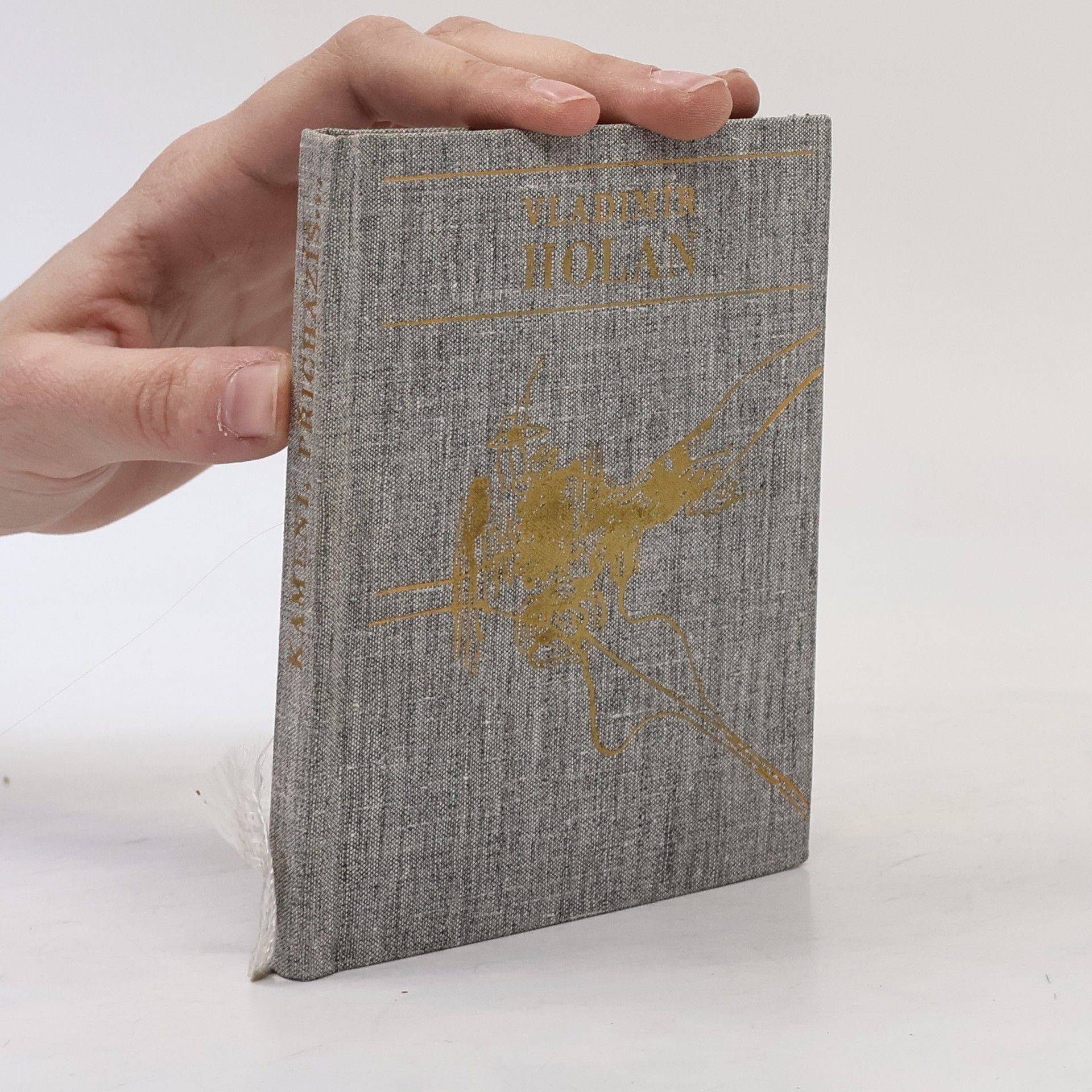 Vladimír Holan Kameni, přicházíš...