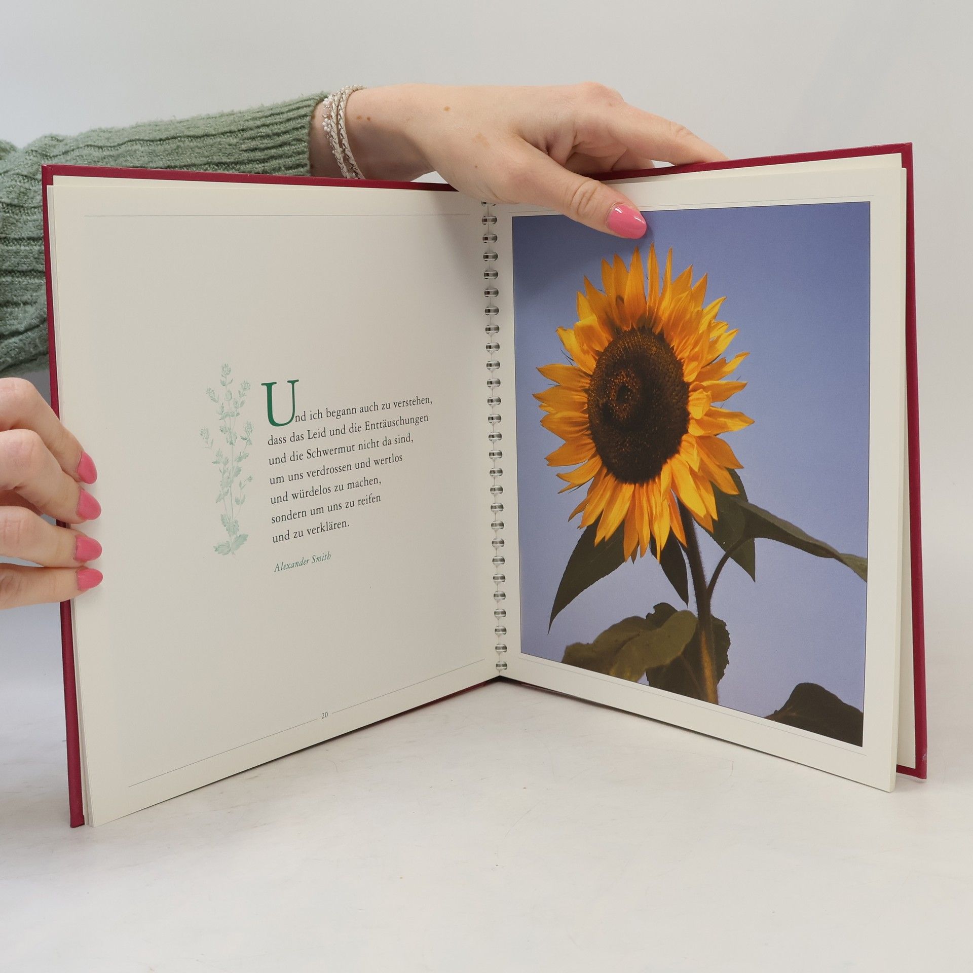 Various authors Stunden der Hoffnung
