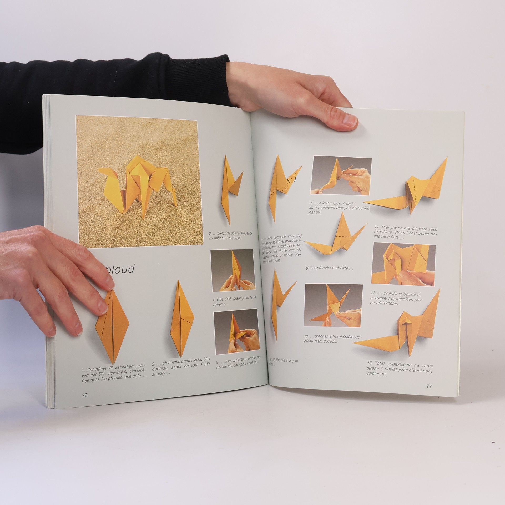 Zülal AytüreScheele Hobby origami