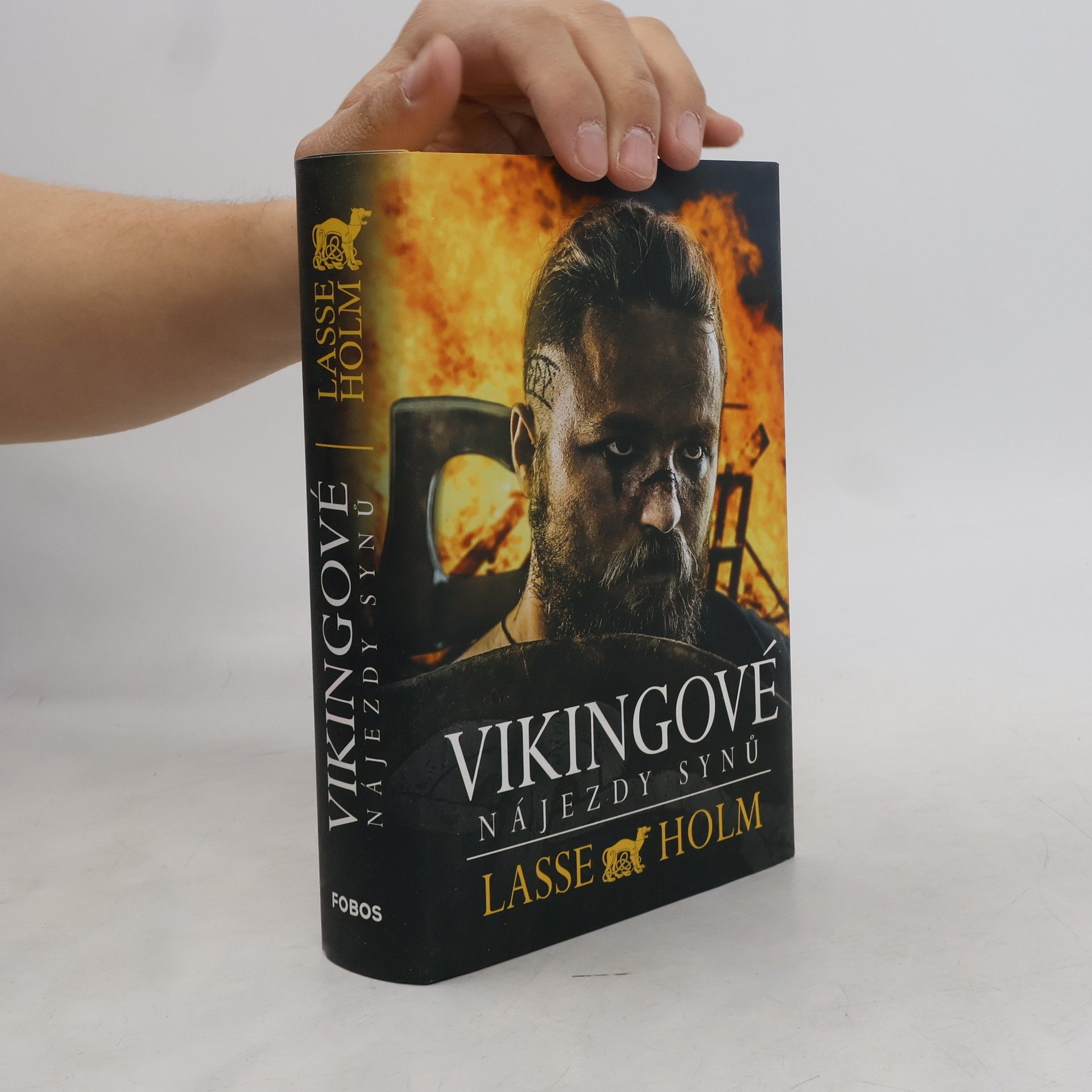 Miroslava Gajzlerová Vikingové. Nájezdy synů