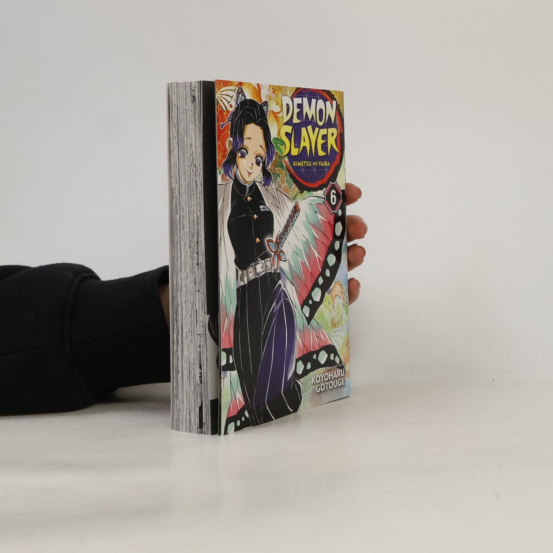 Koyoharu Gotoge Demon Slayer: Kimetsu no Yaiba, Vol. 6