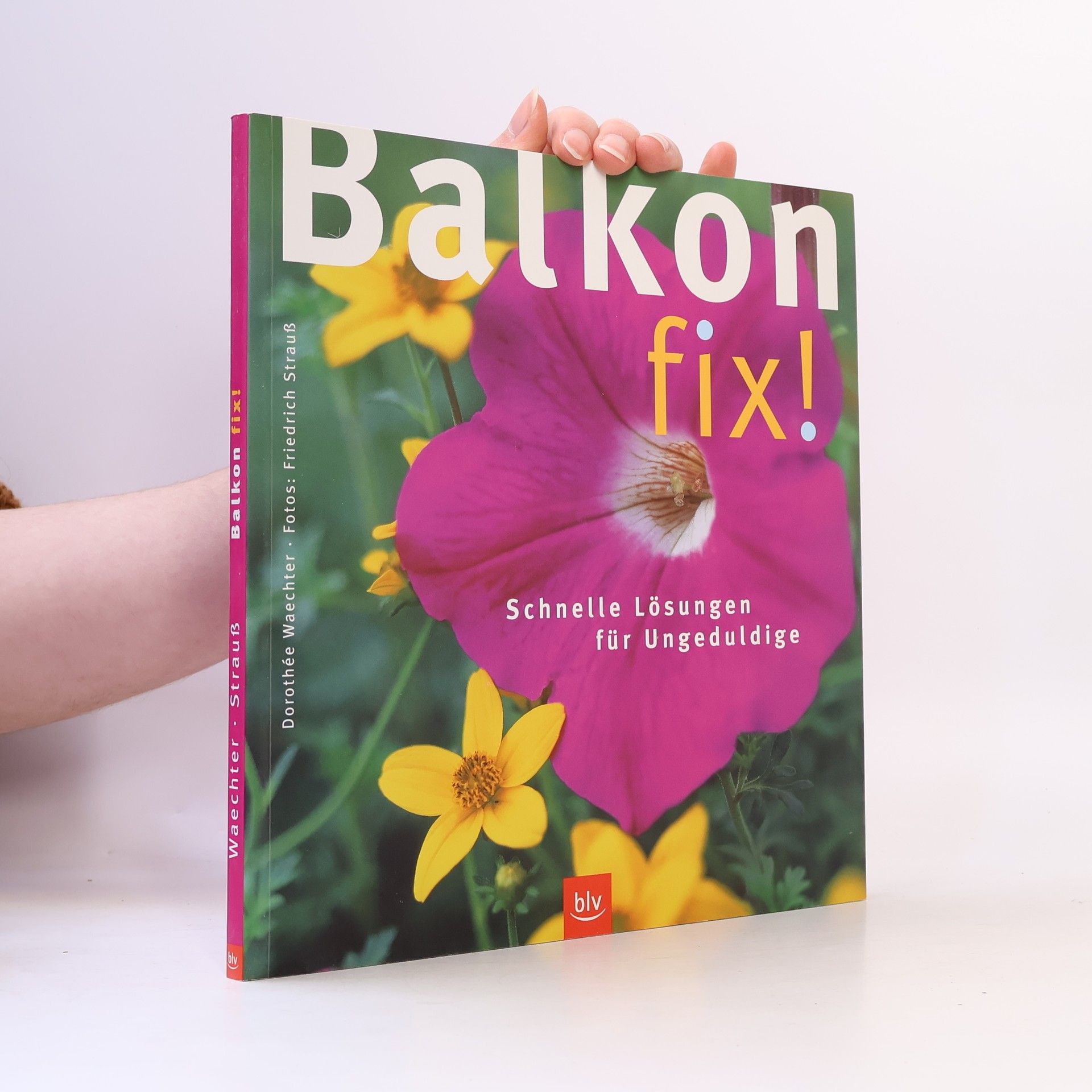 Dorothée Waechter Balkon fix!