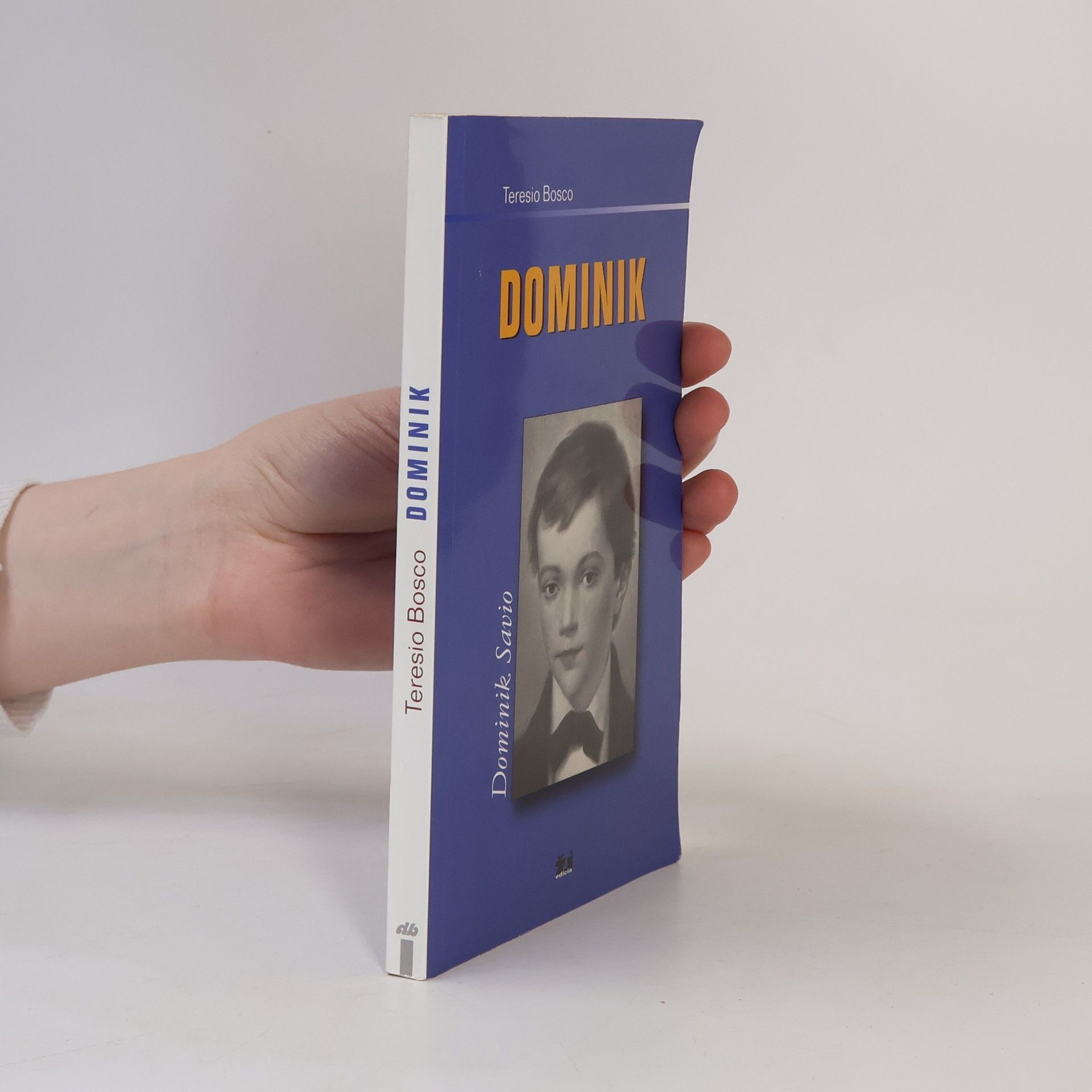 Teresio Bosco Dominik