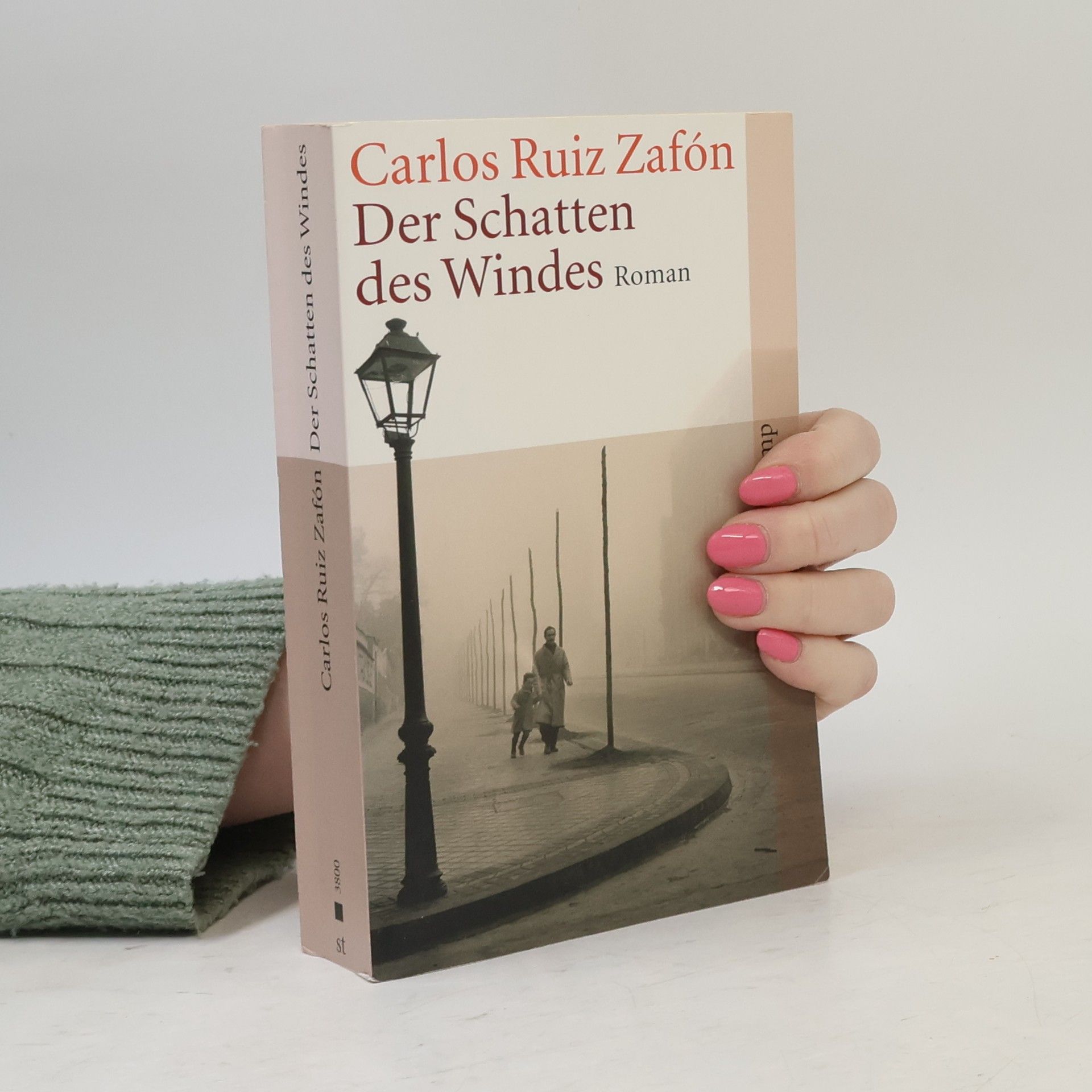 Carlos Ruiz Safon Der Schatten des Windes