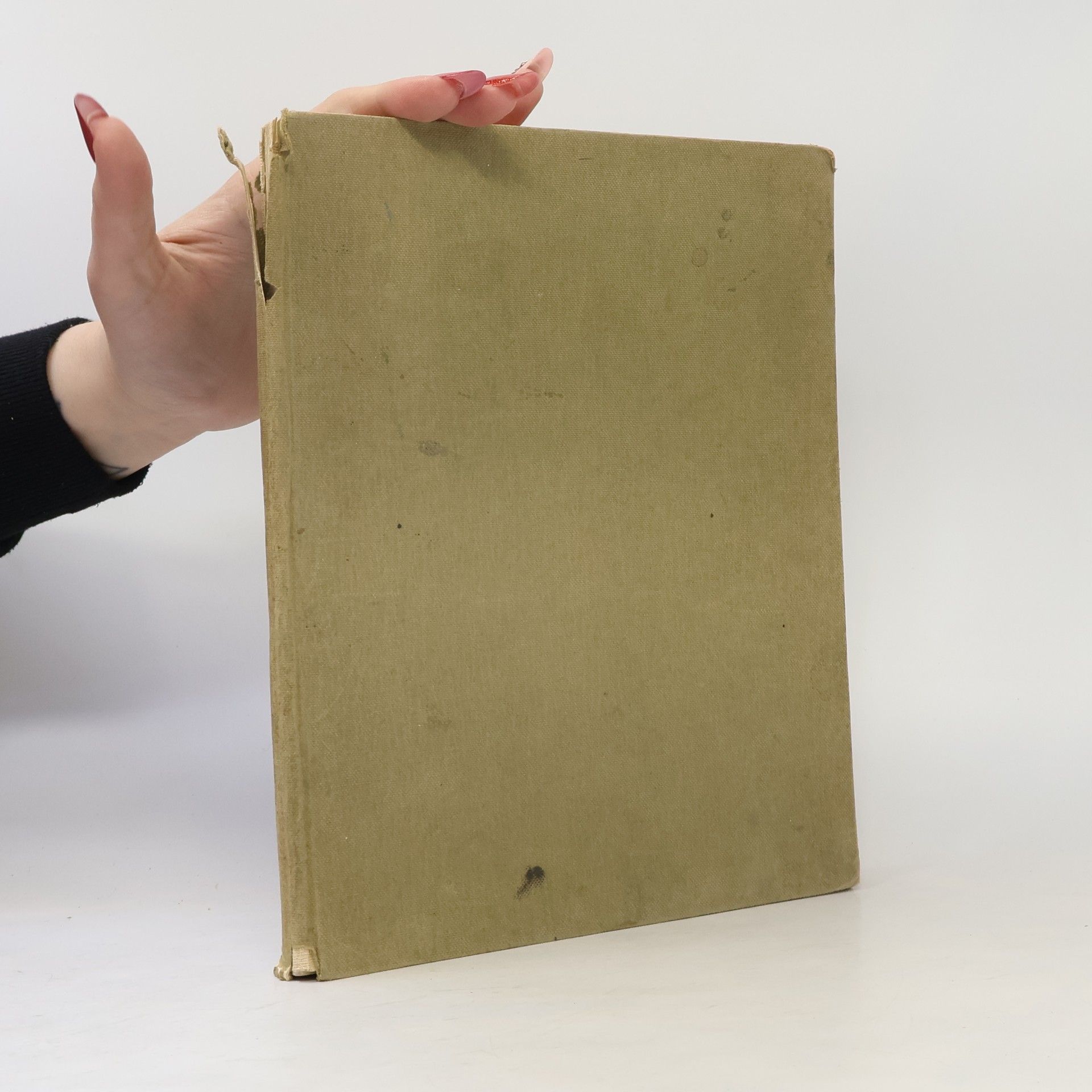 Hans Krebs Sudetendeutschland marschiert