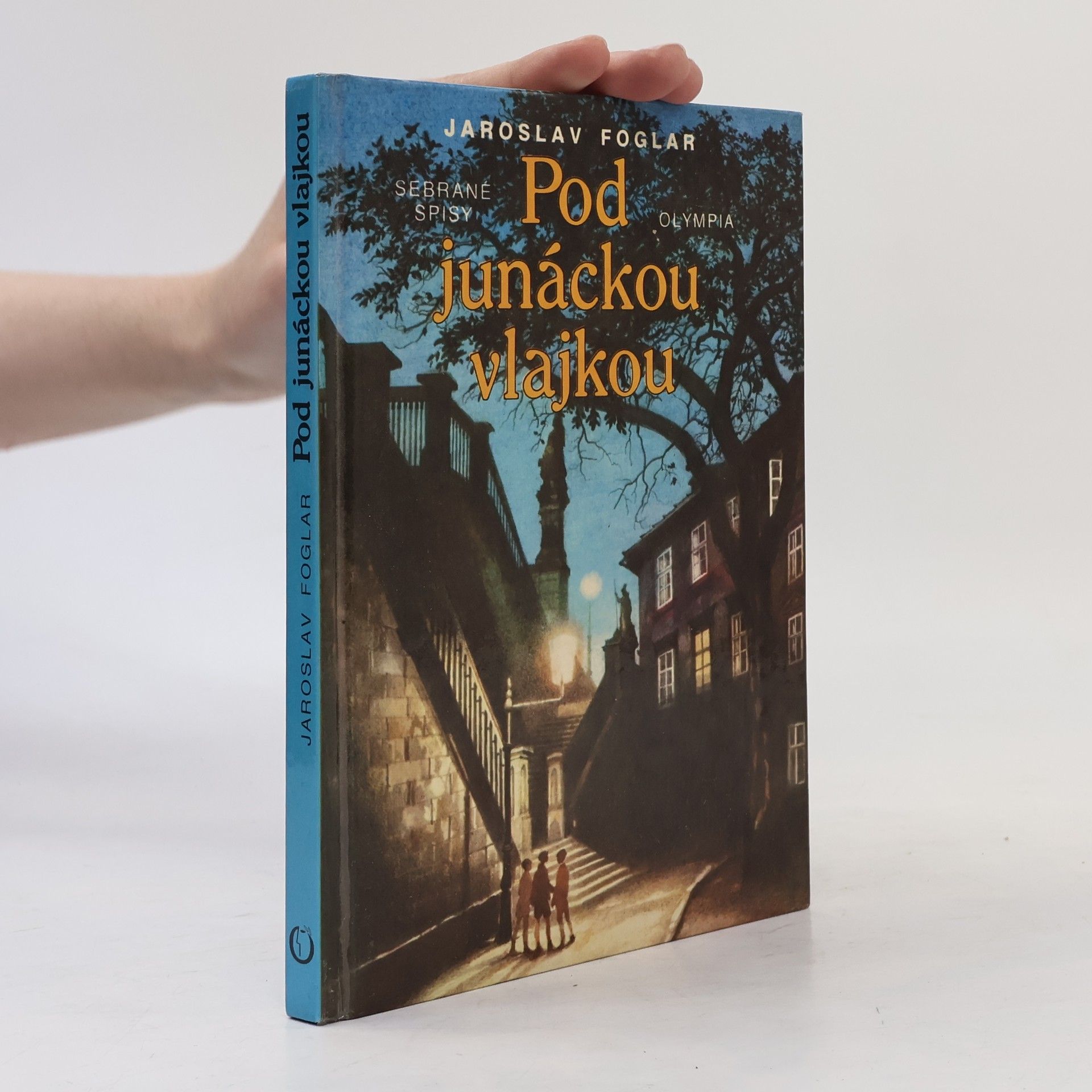 Pod junáckou vlajkou