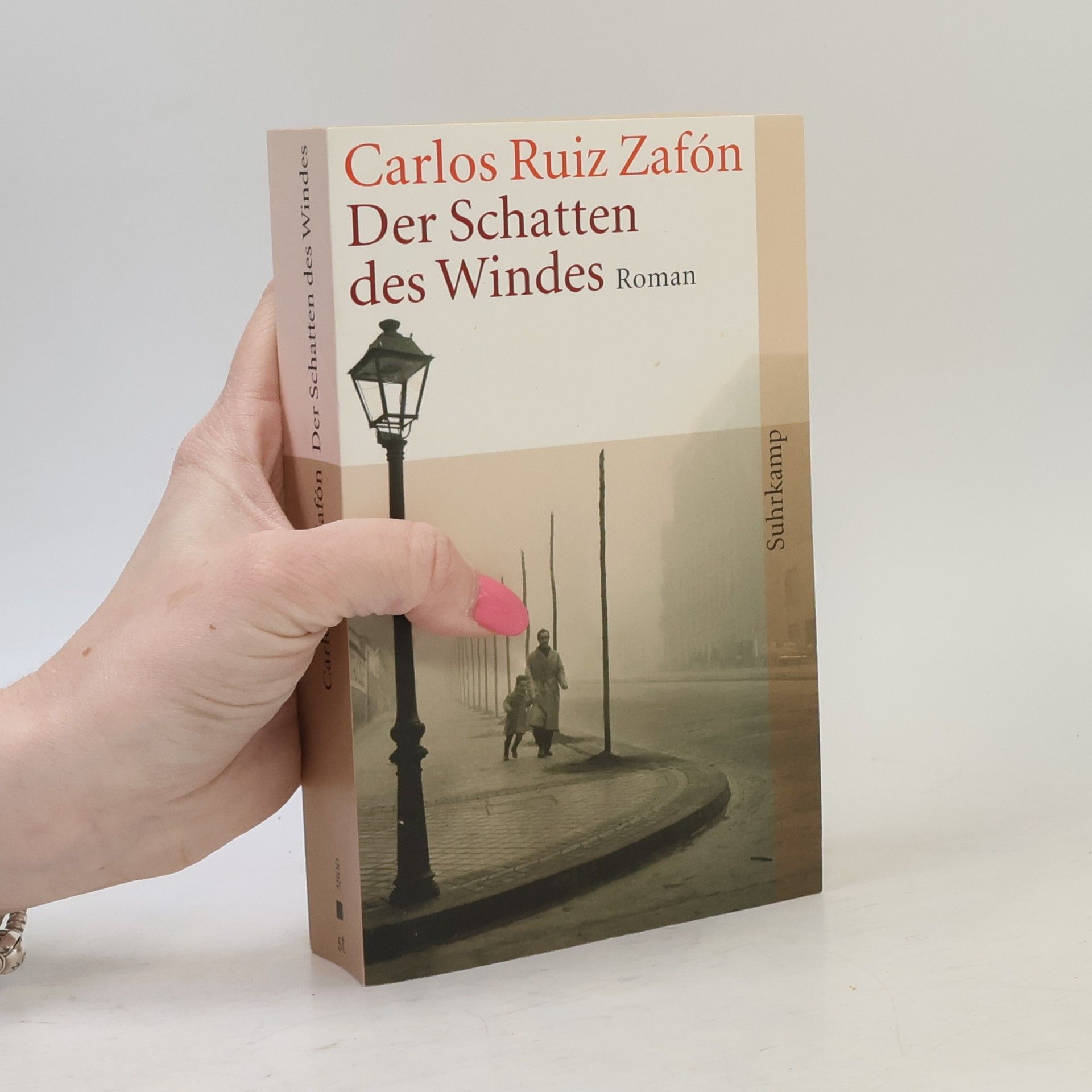 Carlos Ruiz Zafón Der Schatten des Windes