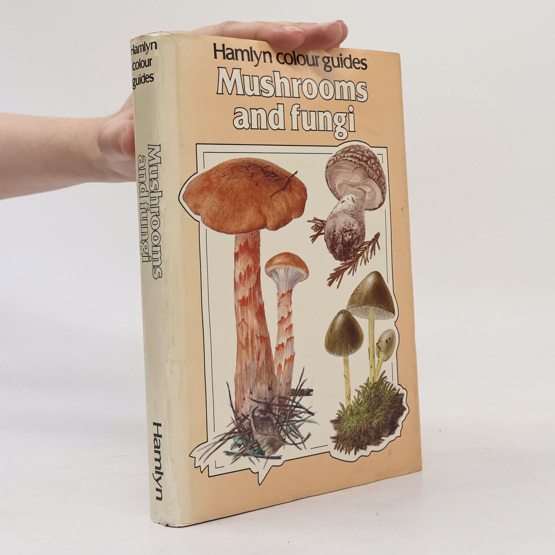 Kolektiv autorů Mushrooms and Fungi