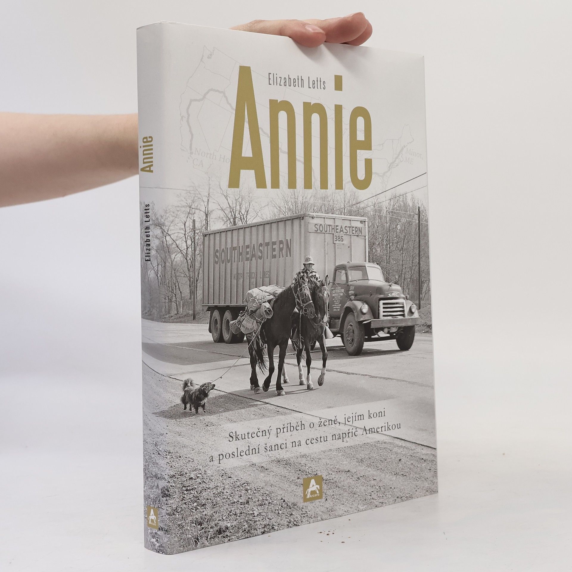 Michaela Burdová Annie : skutečný příběh o ženě, jejím koni a poslední šanci na cestu napříč Amerikou