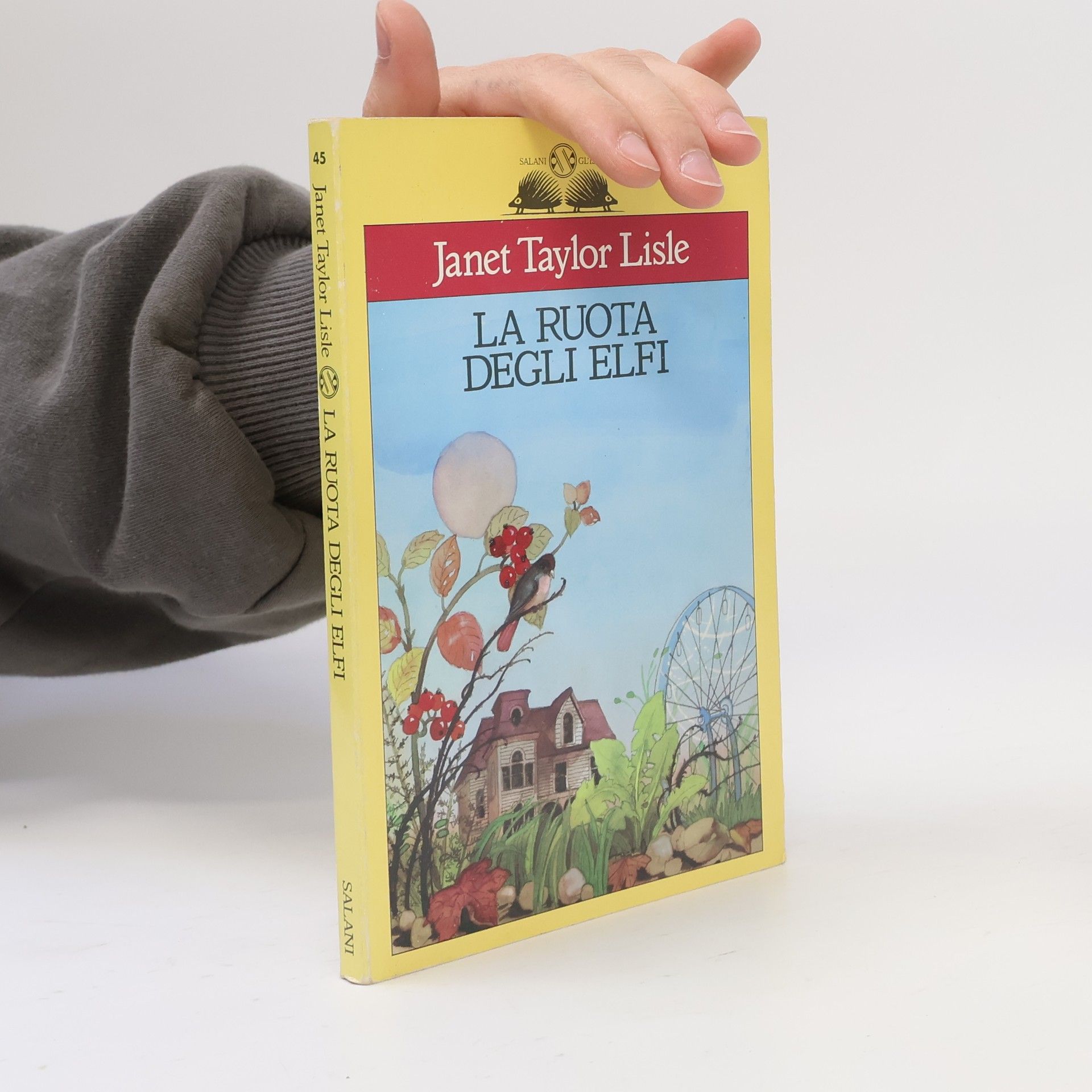 Janet Taylor Lisle La ruota degli elfi