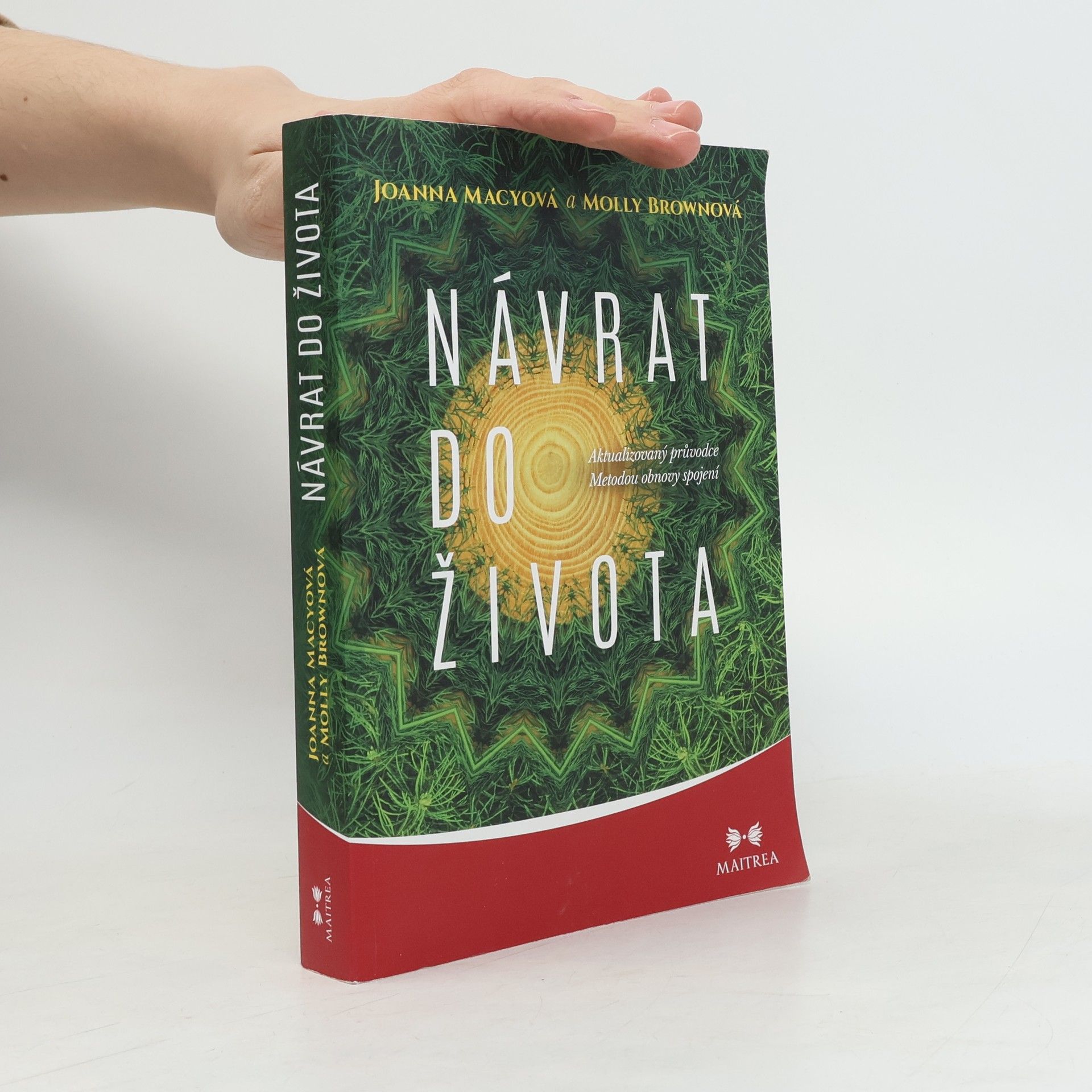 Molly Young Brown Návrat do života : aktualizovaný průvodce Metodou obnovy spojení