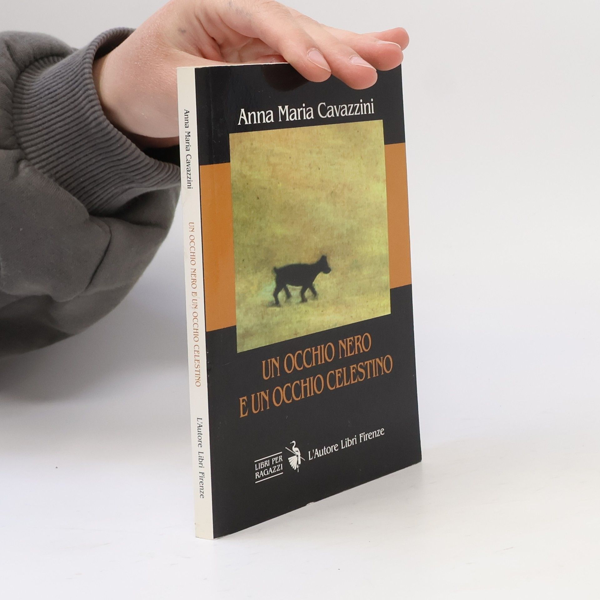 Anna Maria Cavazzini Un occhio nero e un occhio celestino