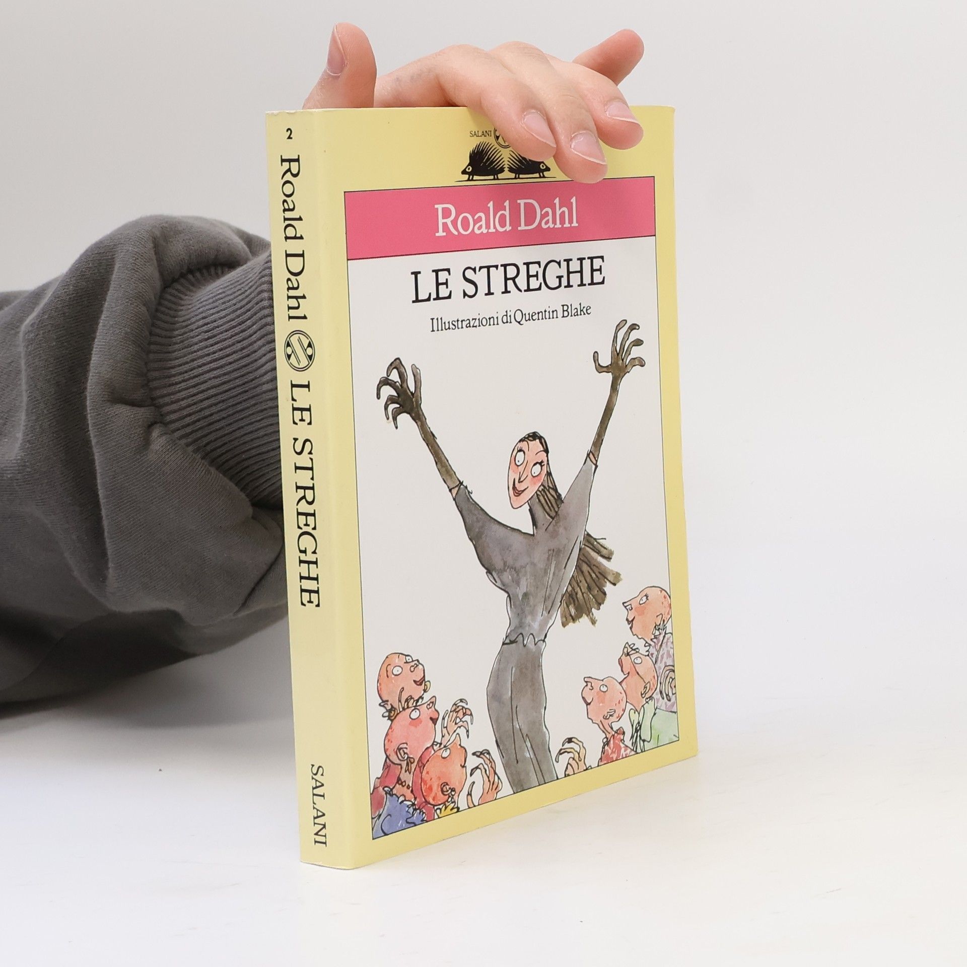 Roald Dahl Le streghe