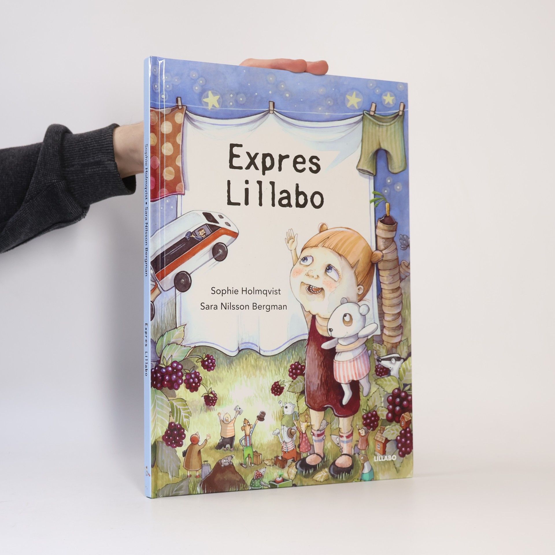 Sophie Holmqvist Expres Lillabo