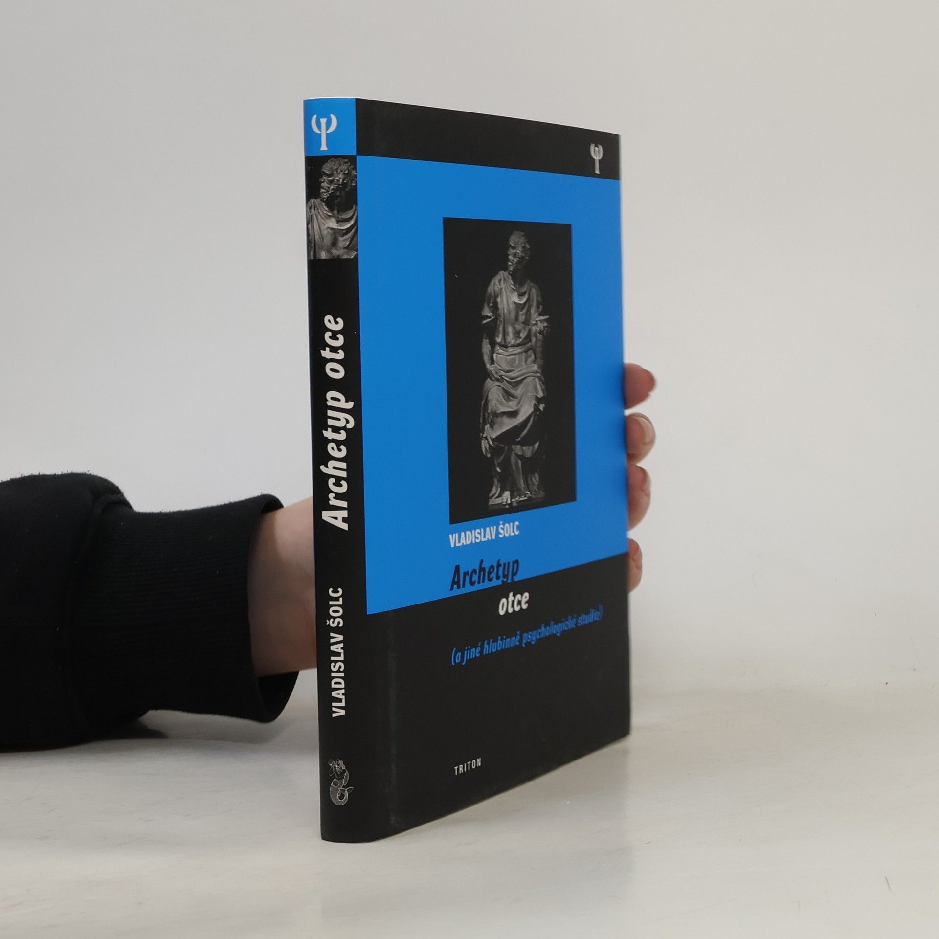 Vladislav Šolc Archetyp otce