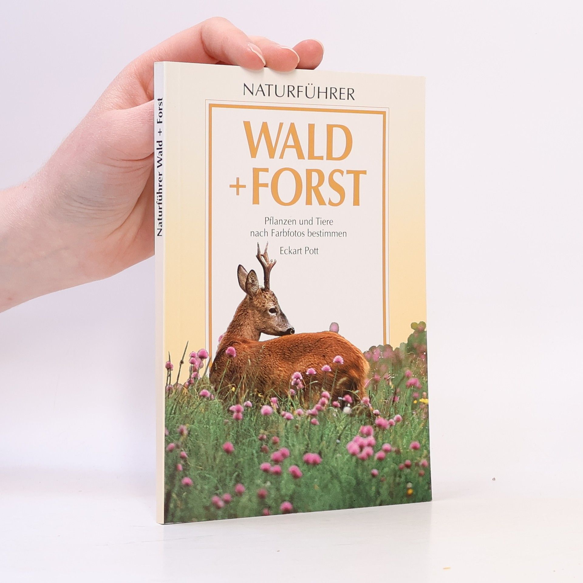 Eckart Pott Wald und Forst