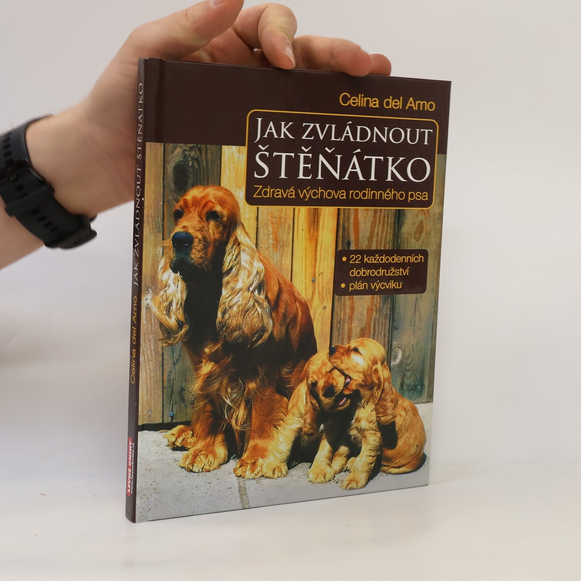 Jak zvládnout štěňátko. Zdravá výchova rodinného psa