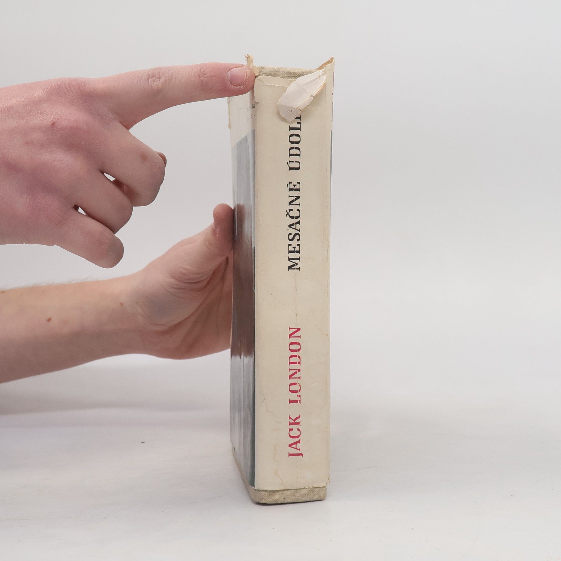 Jack London Mesačné údolie