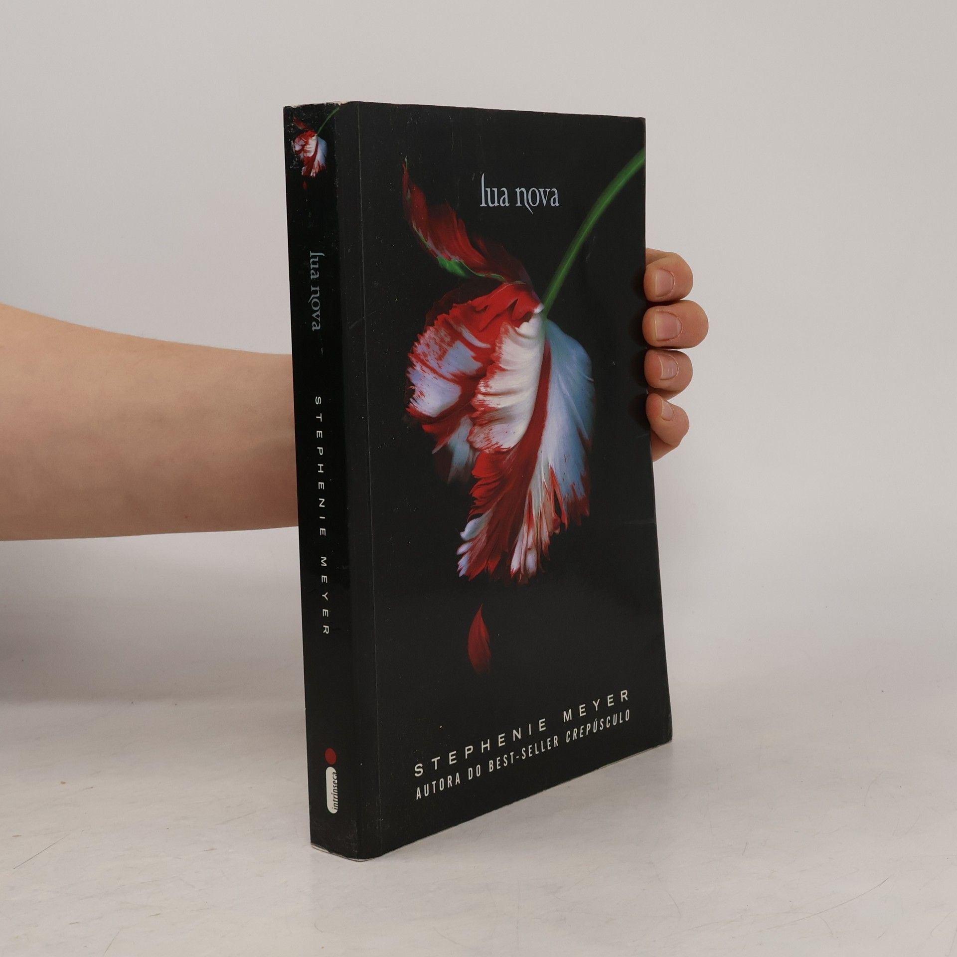 Ryta Vinagre Lua nova