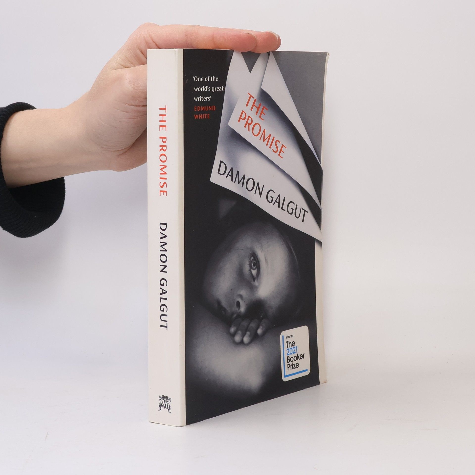 Damon Galgut The Promise