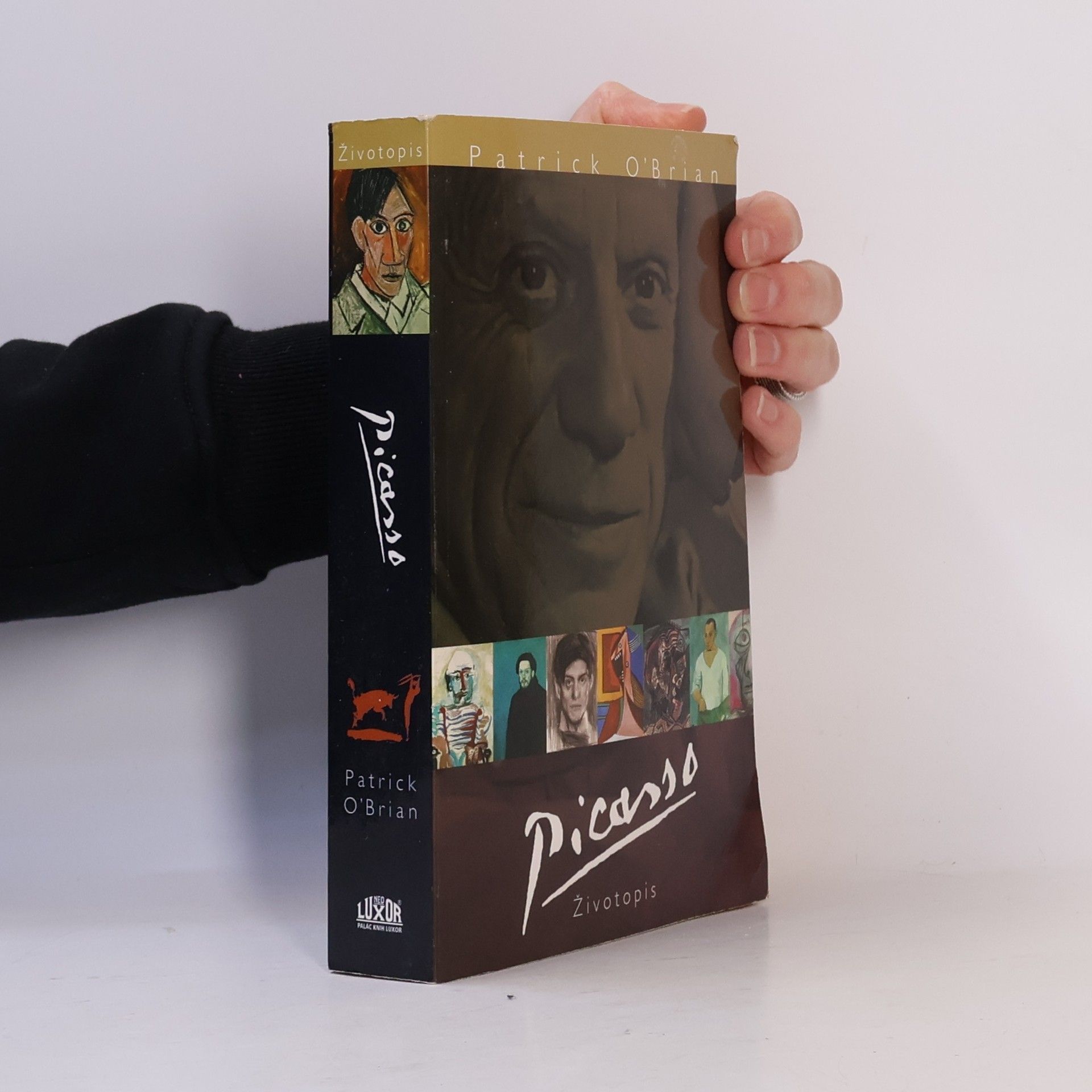 Patrick O'Brian Picasso. Životopis