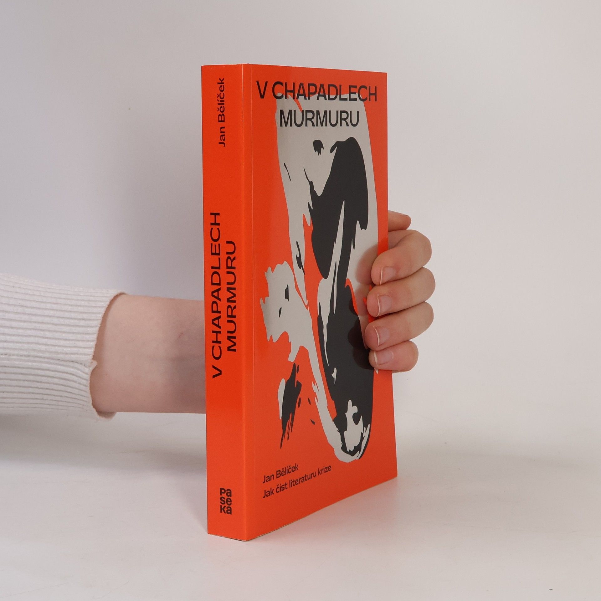 Jan Bělíček V chapadlech murmuru : jak číst literaturu krize