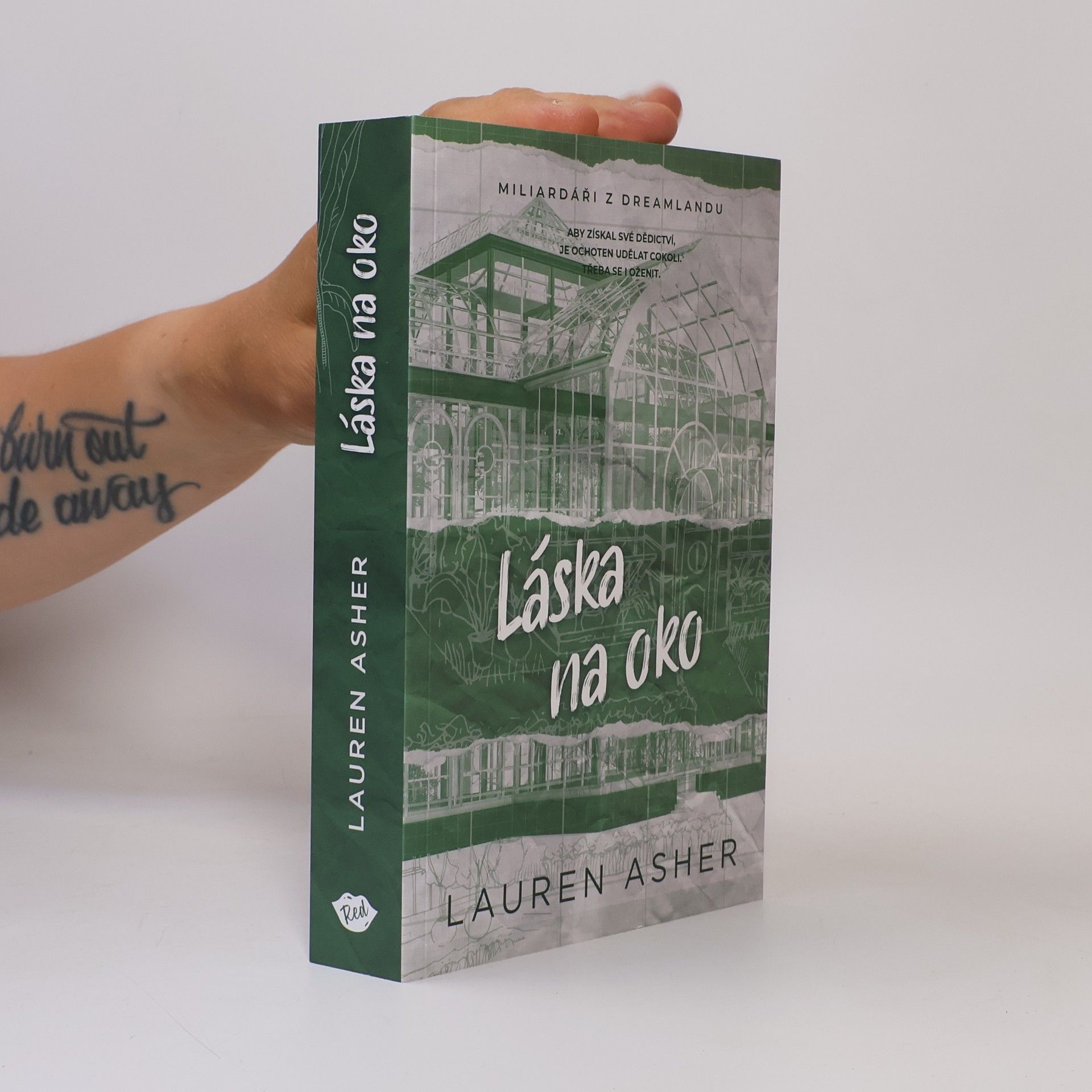 Lauren Asher Láska na oko