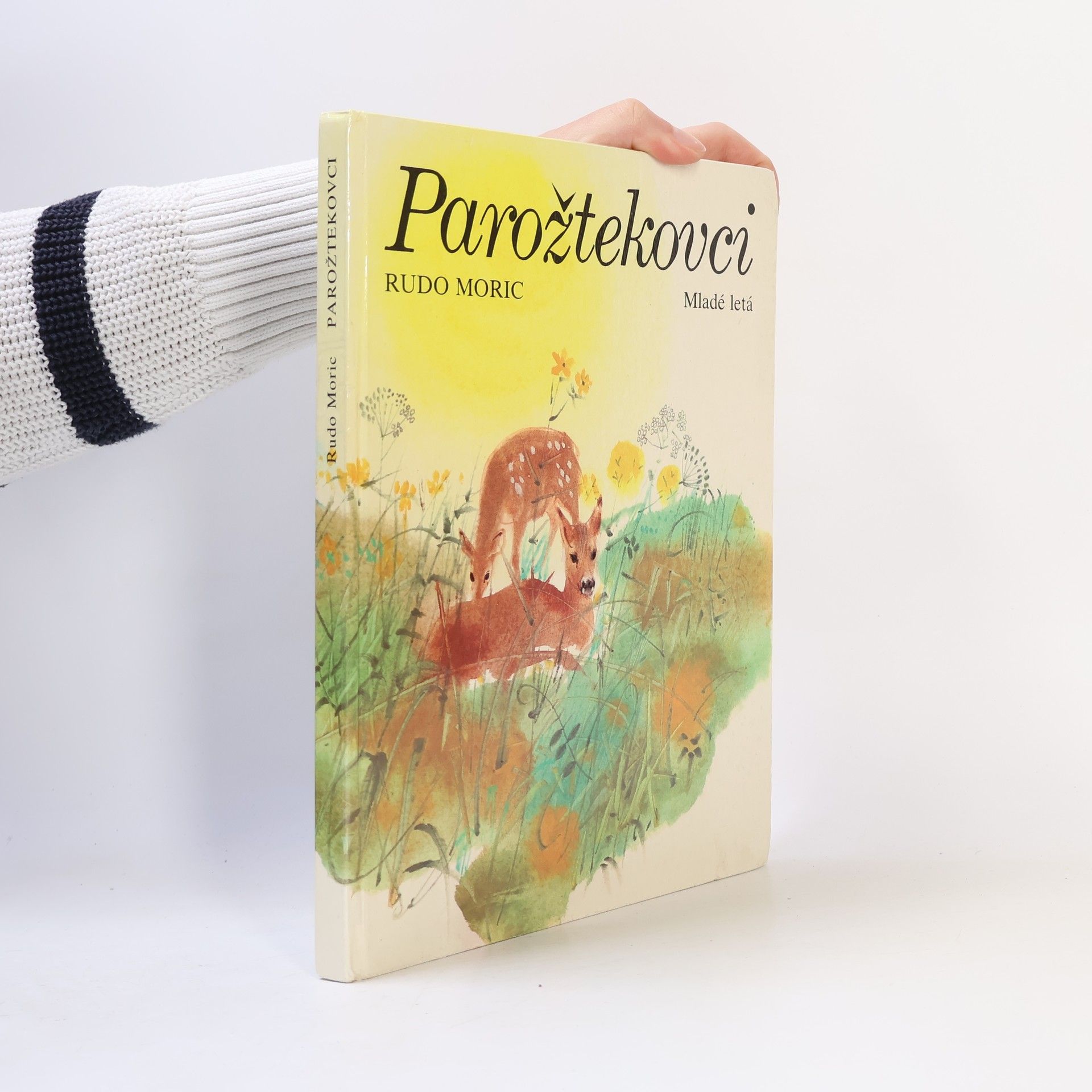 Rudo Moric Parožtekovci