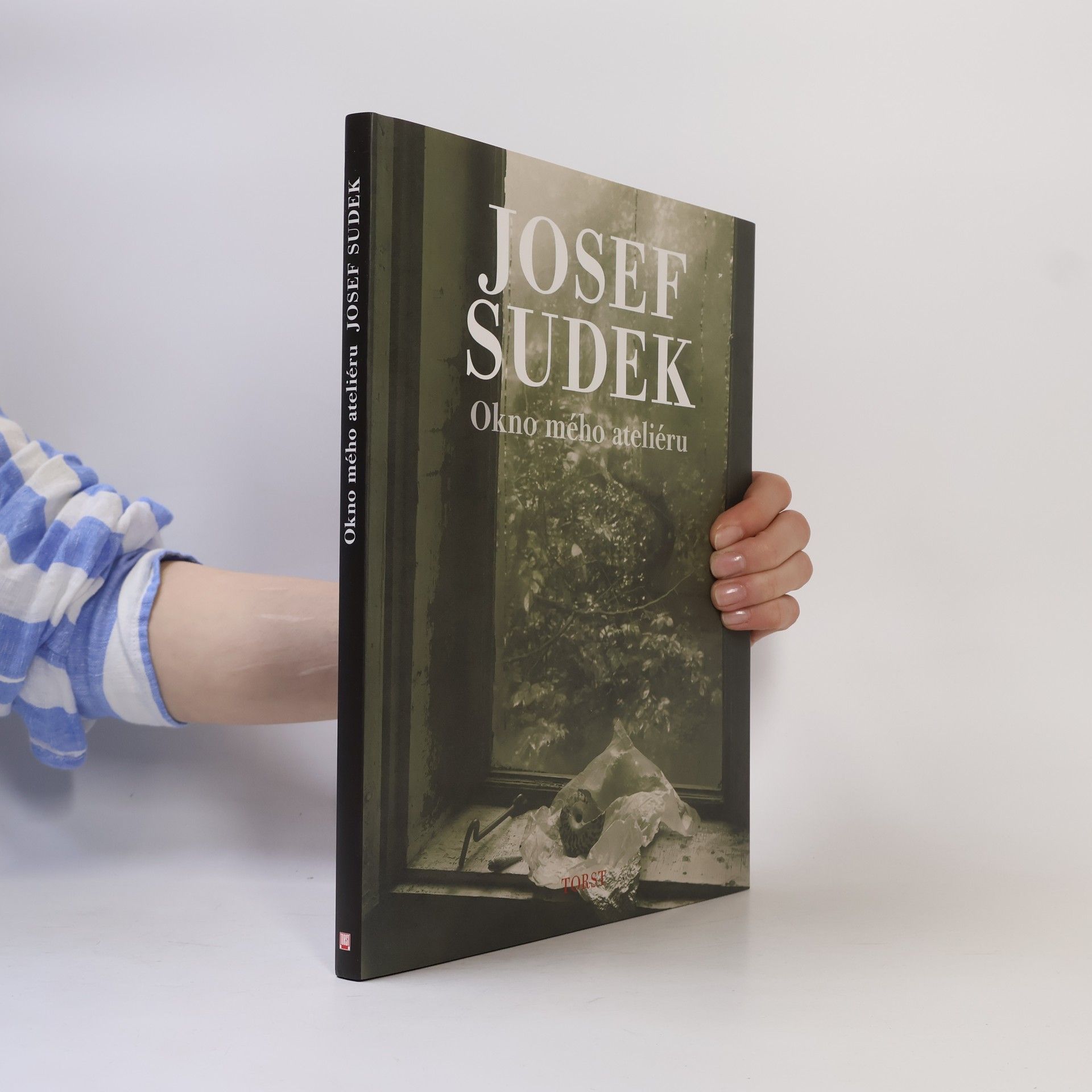 Anna Fárová Okno mého ateliéru