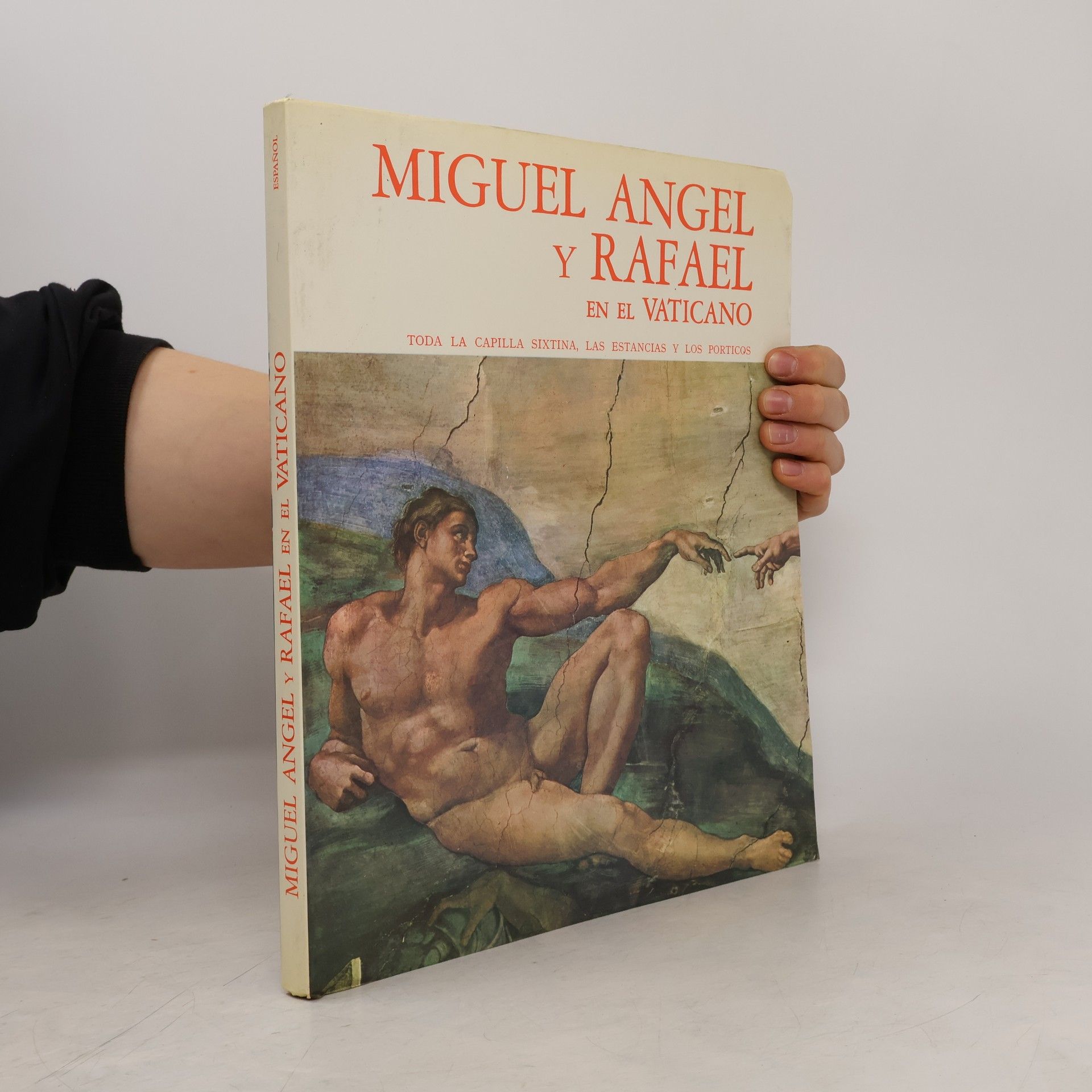 Autorenkollektiv Miguel Ángel y Rafael en el Vaticano