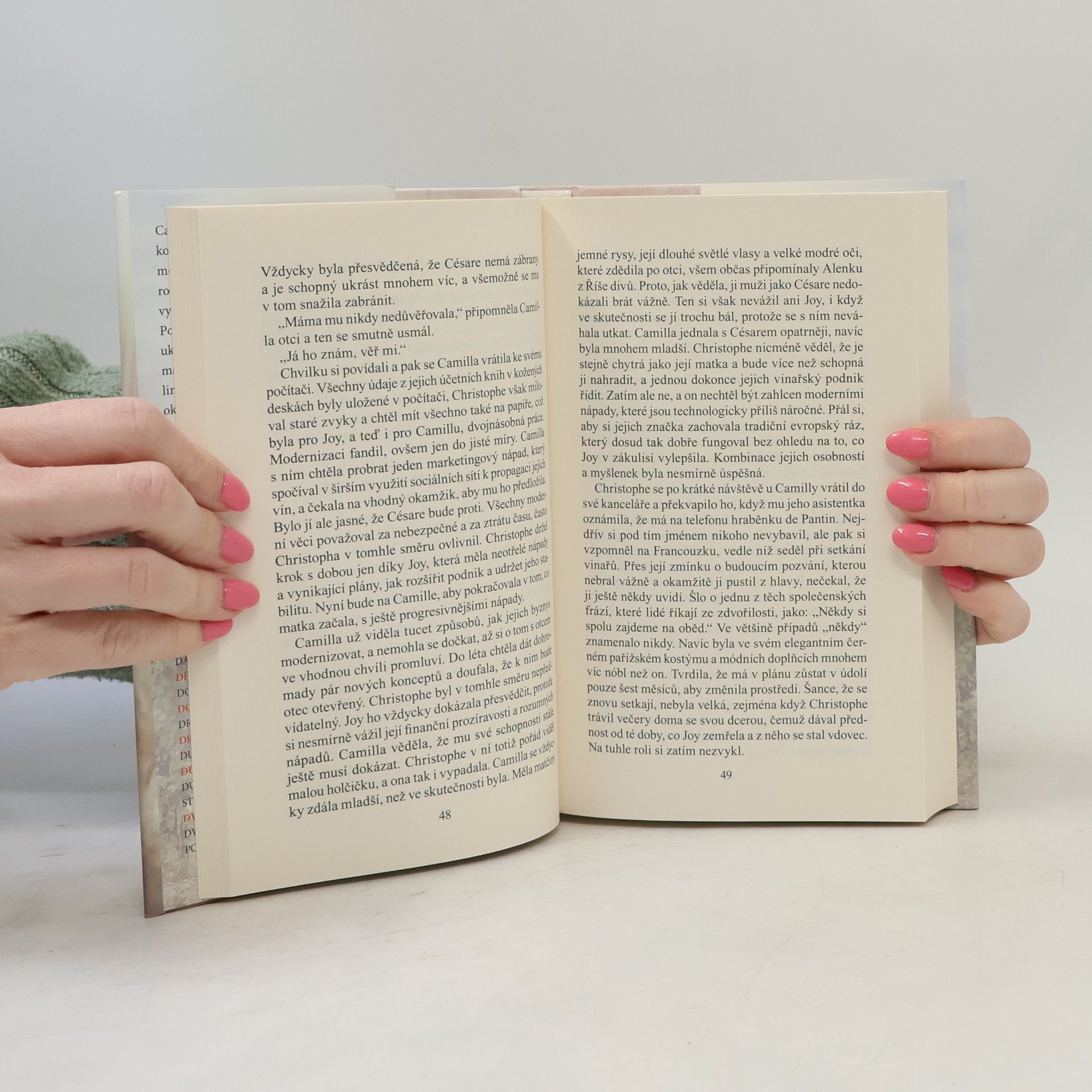 Danielle Steel Jako v pohádce