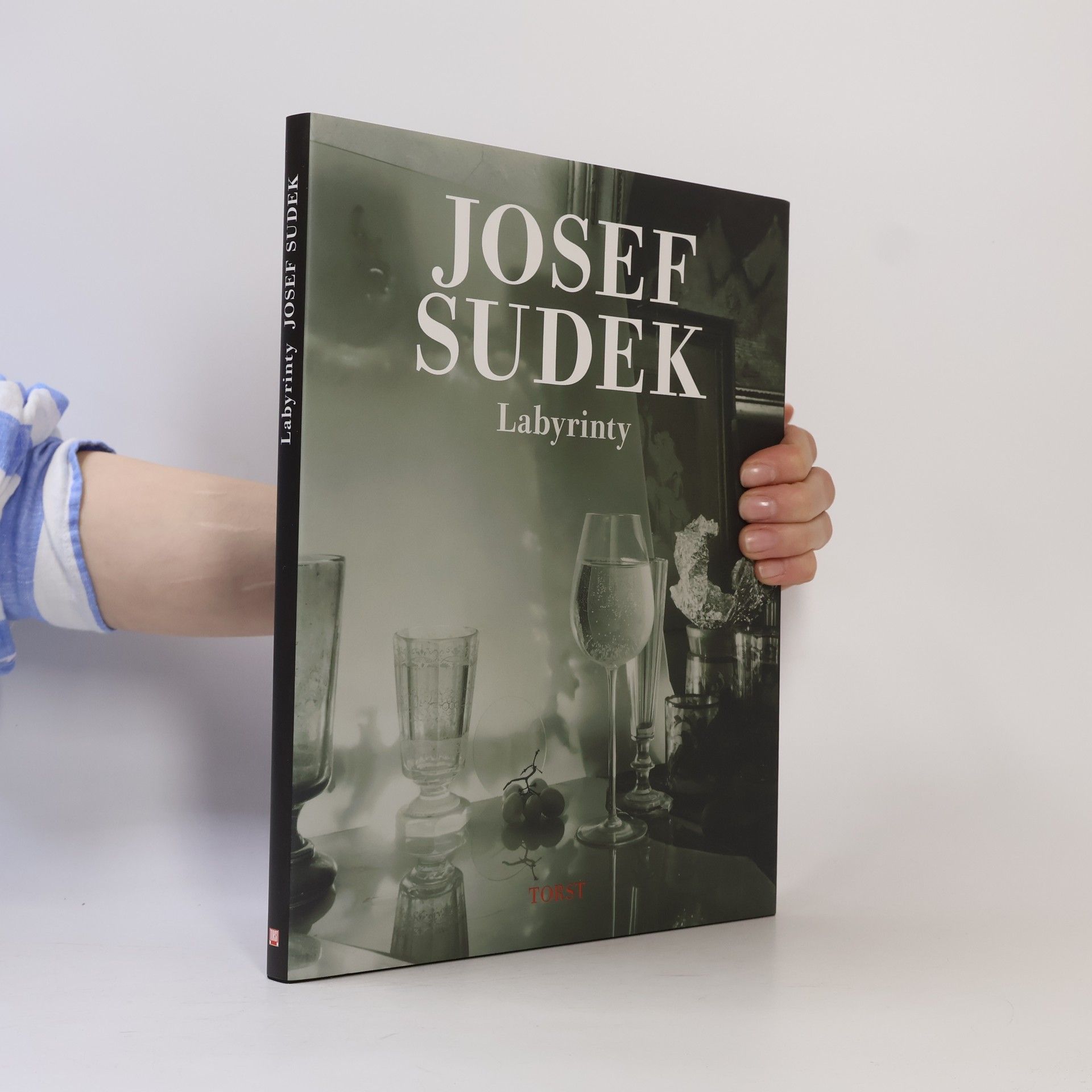 Josef Sudek Labyrinty