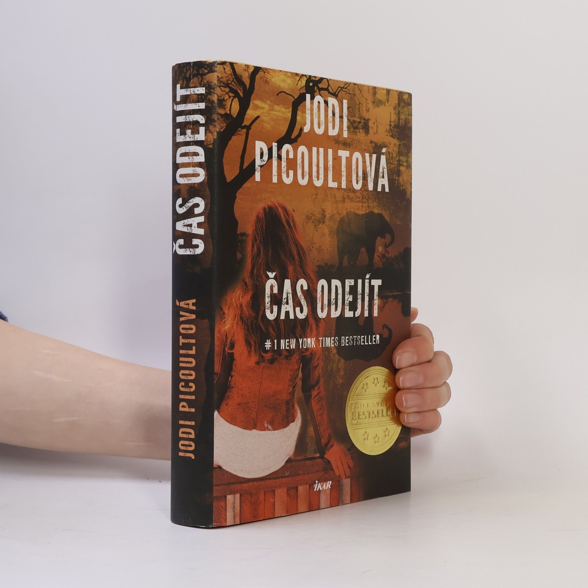 Jodi Picoult Čas odejít