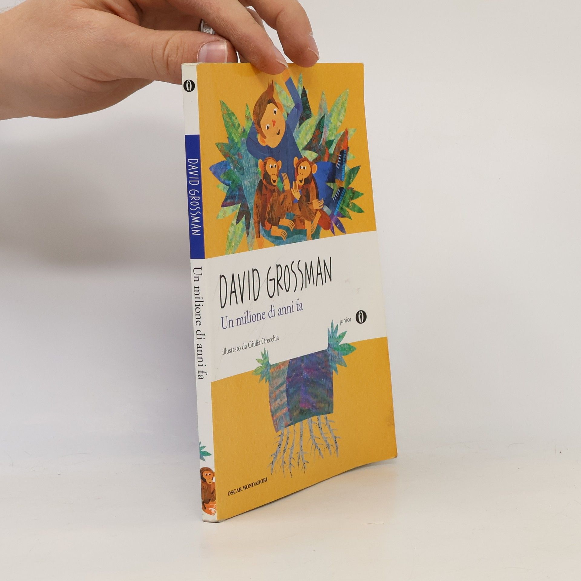 Un milione di anni fa