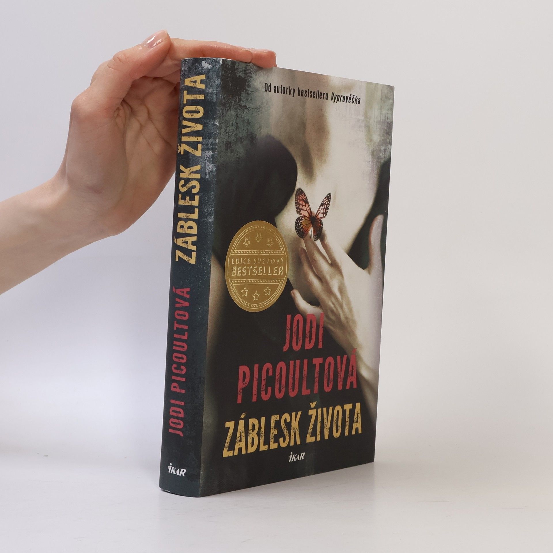 Jodi Picoult Záblesk života