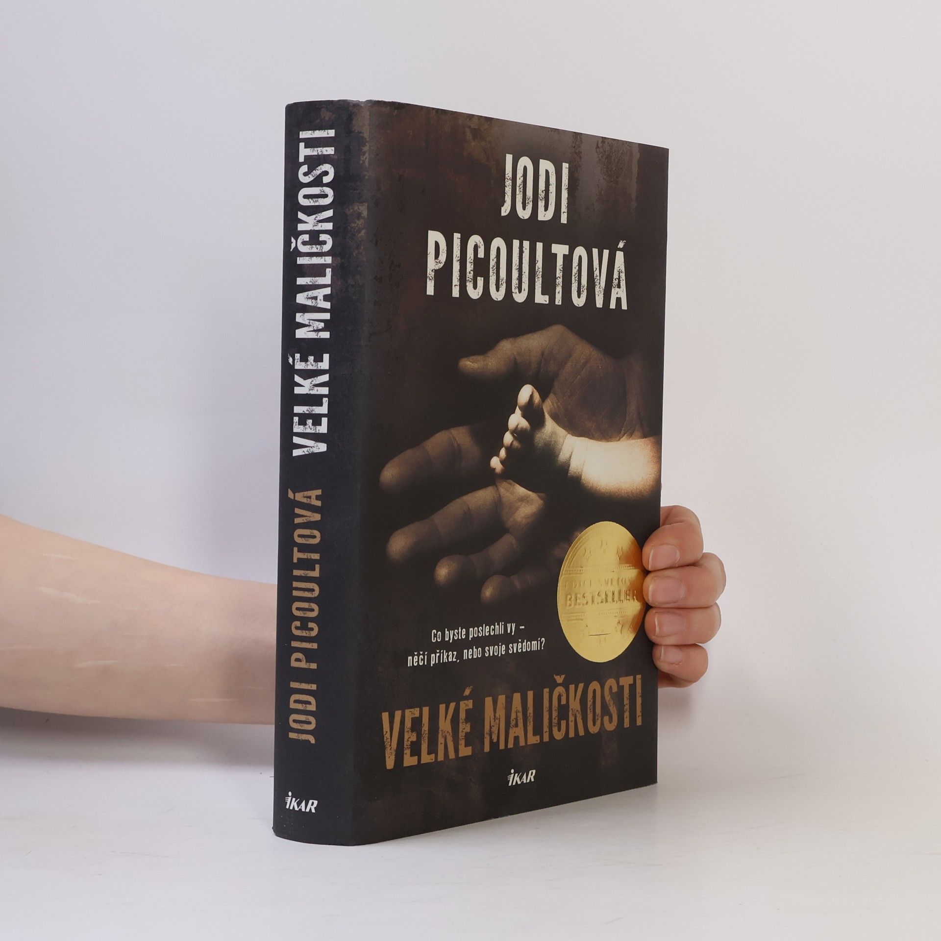 Jodi Picoult Velké maličkosti