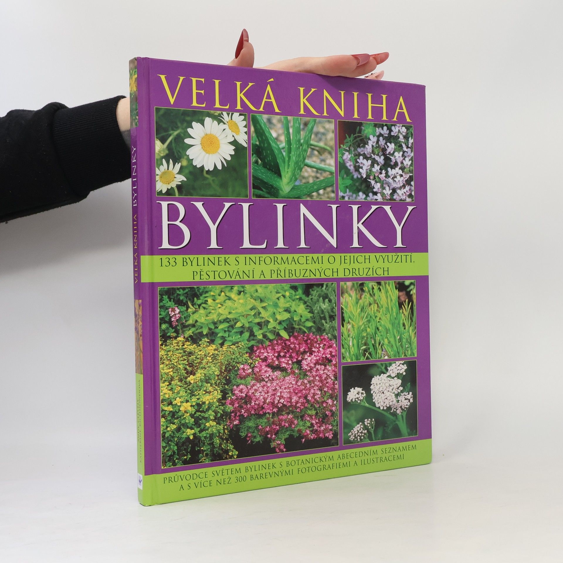 Katherine Richmond Bylinky. Velká kniha