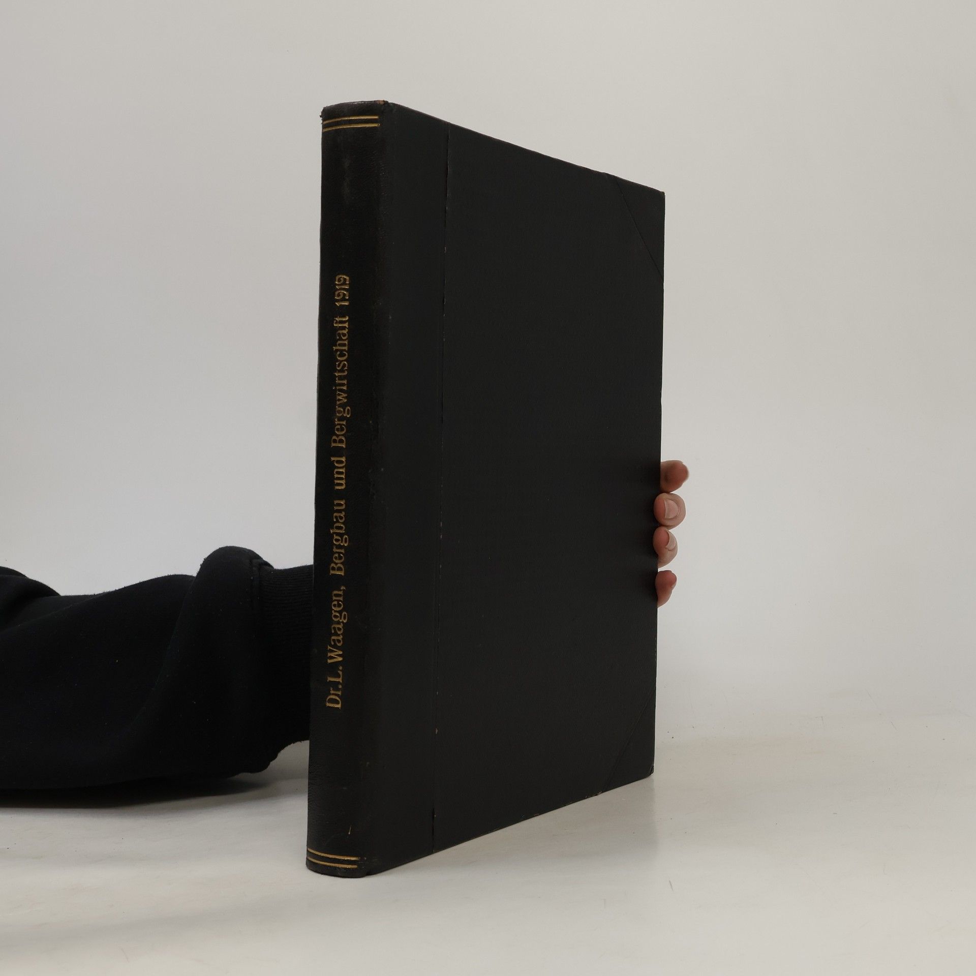 L. Waagen  Bergbau und Bergwirtschaft 1919