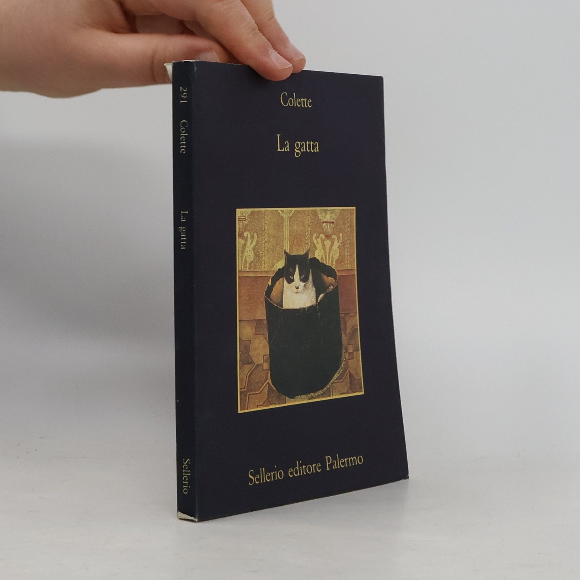 Enrico Piceni La gatta