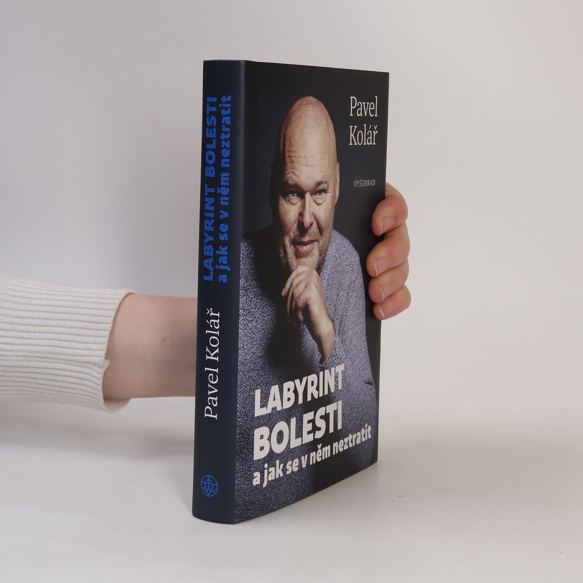 Pavel Kolář Labyrint bolesti a jak se v něm neztratit